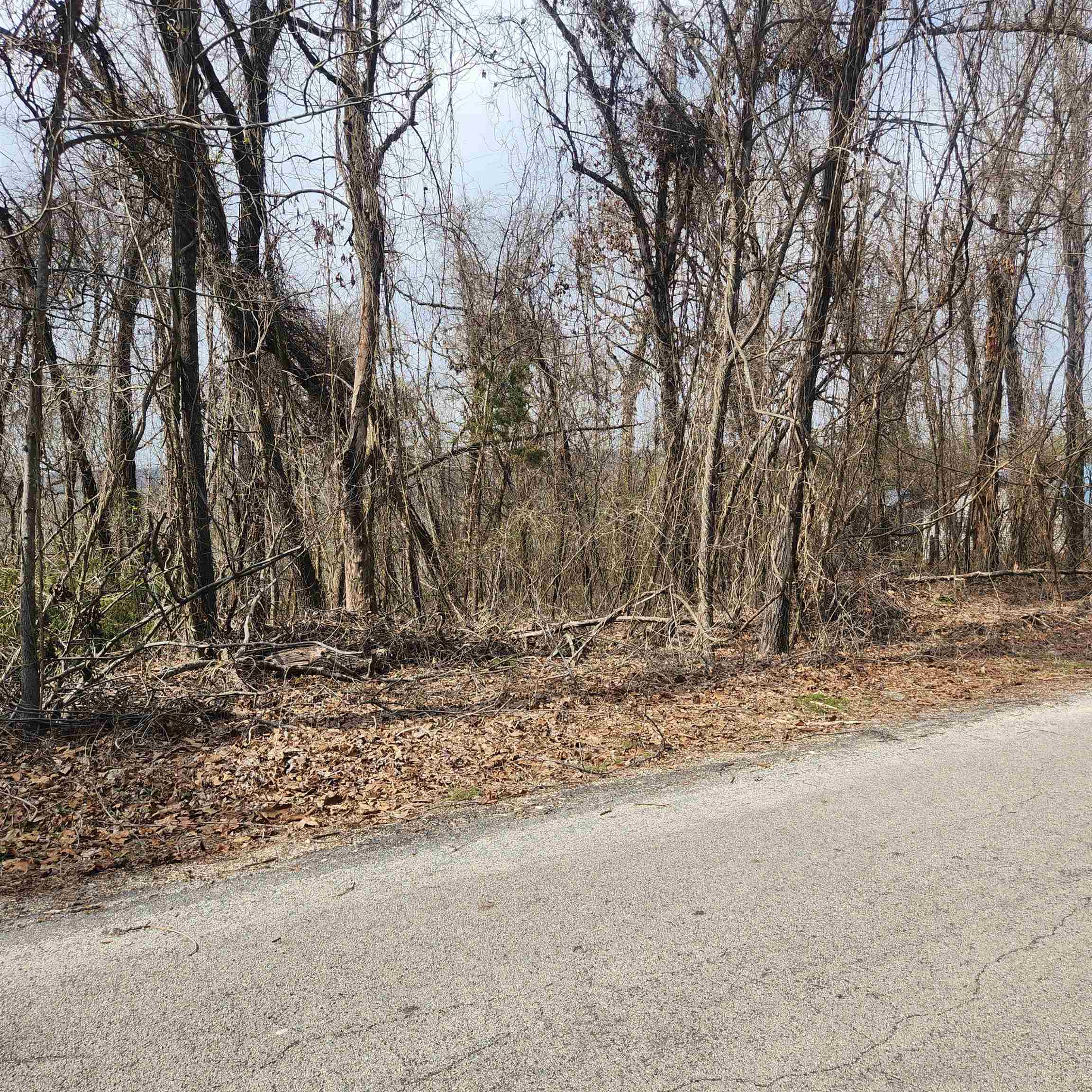 L-1, B-9 Hiawatha Drive Property Photo 5