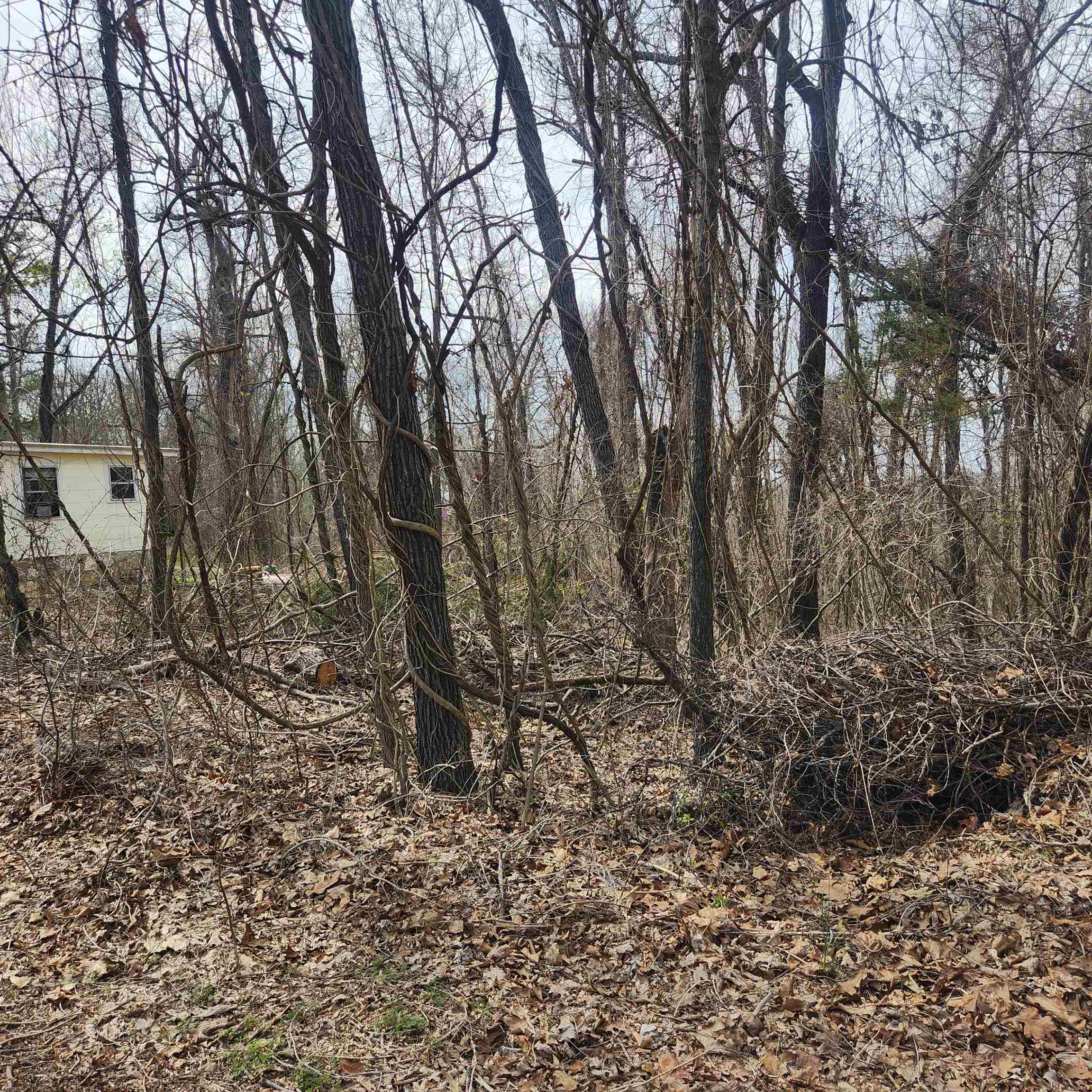 L-1, B-9 Hiawatha Drive Property Photo 7