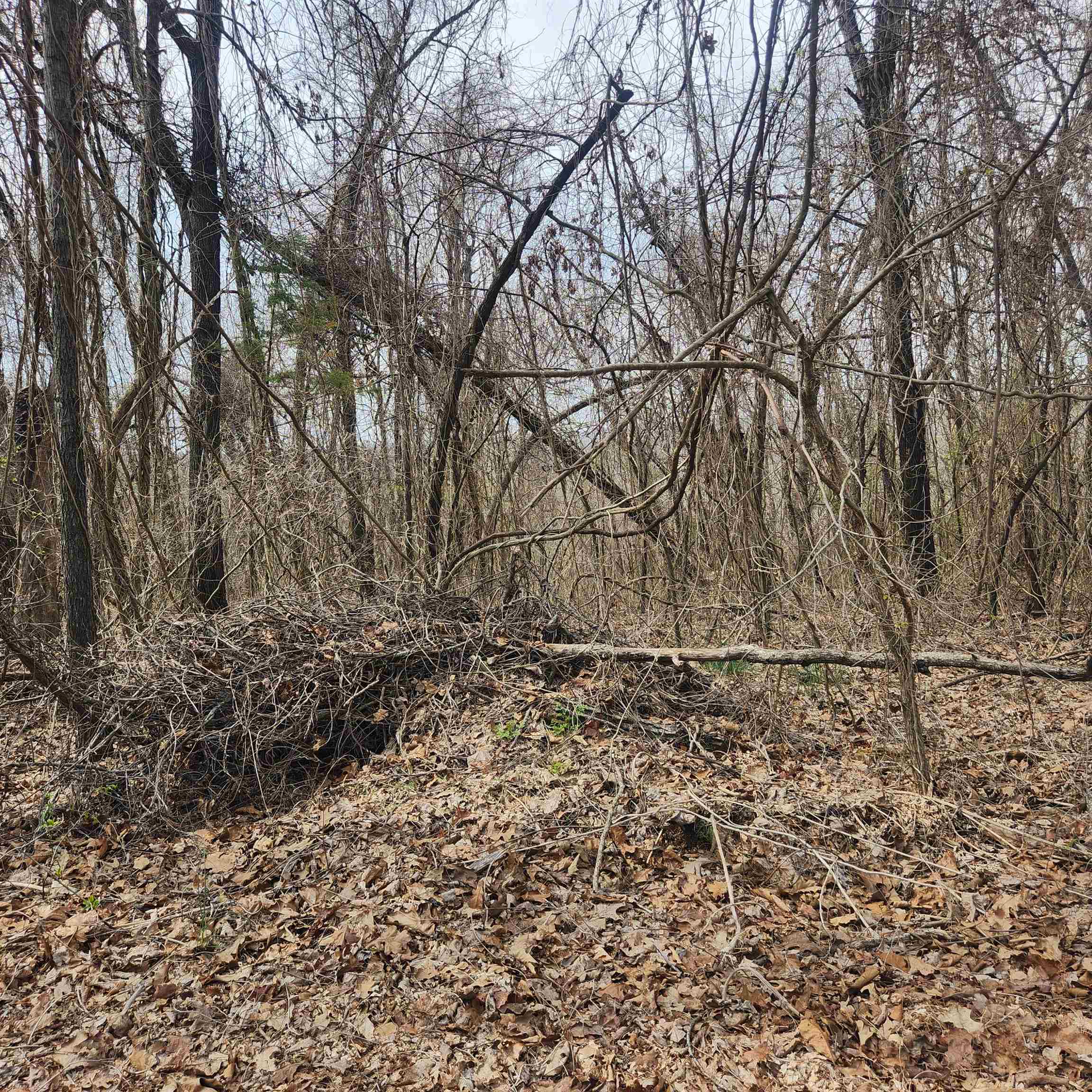 L-1, B-9 Hiawatha Drive Property Photo 8