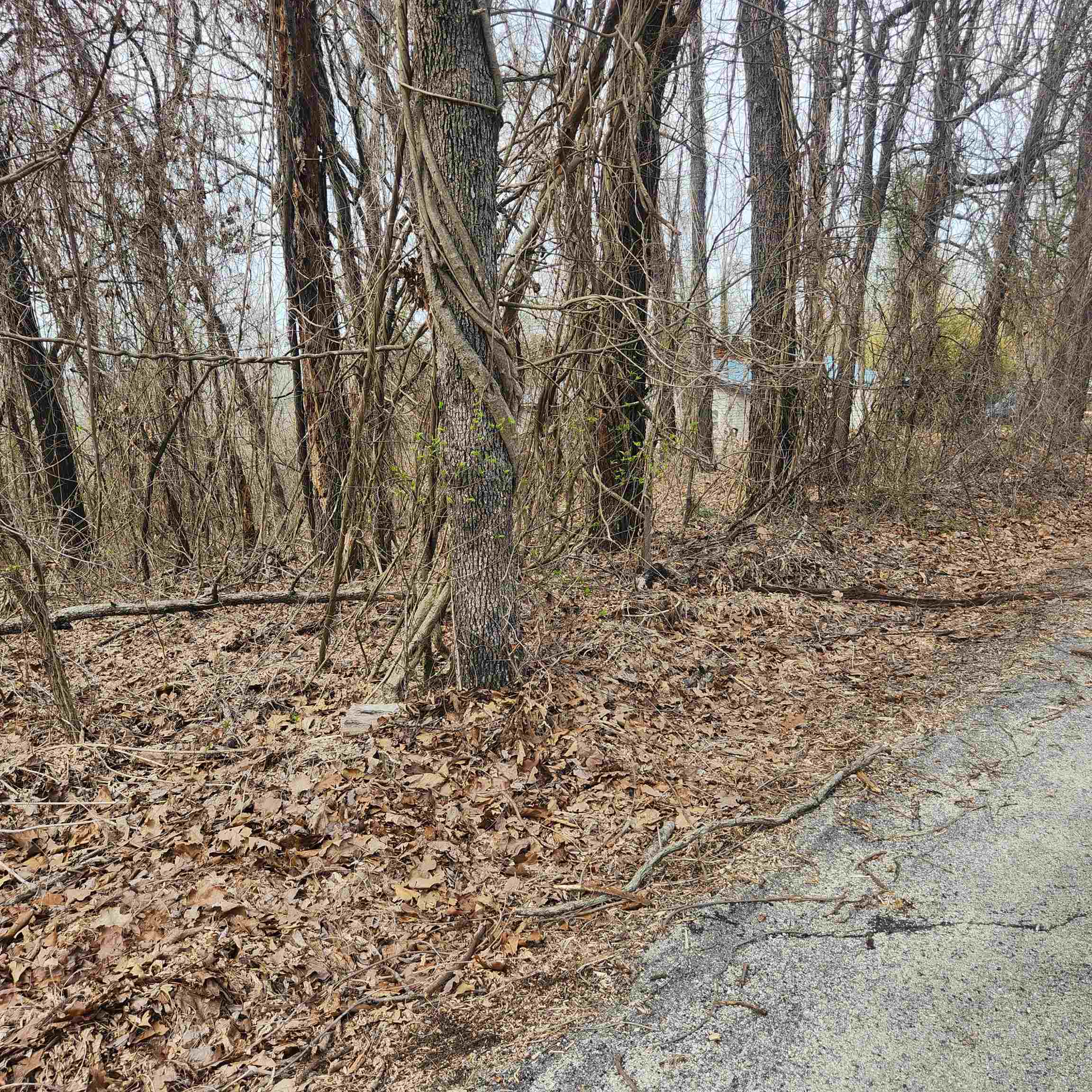 L-1, B-9 Hiawatha Drive Property Photo 9