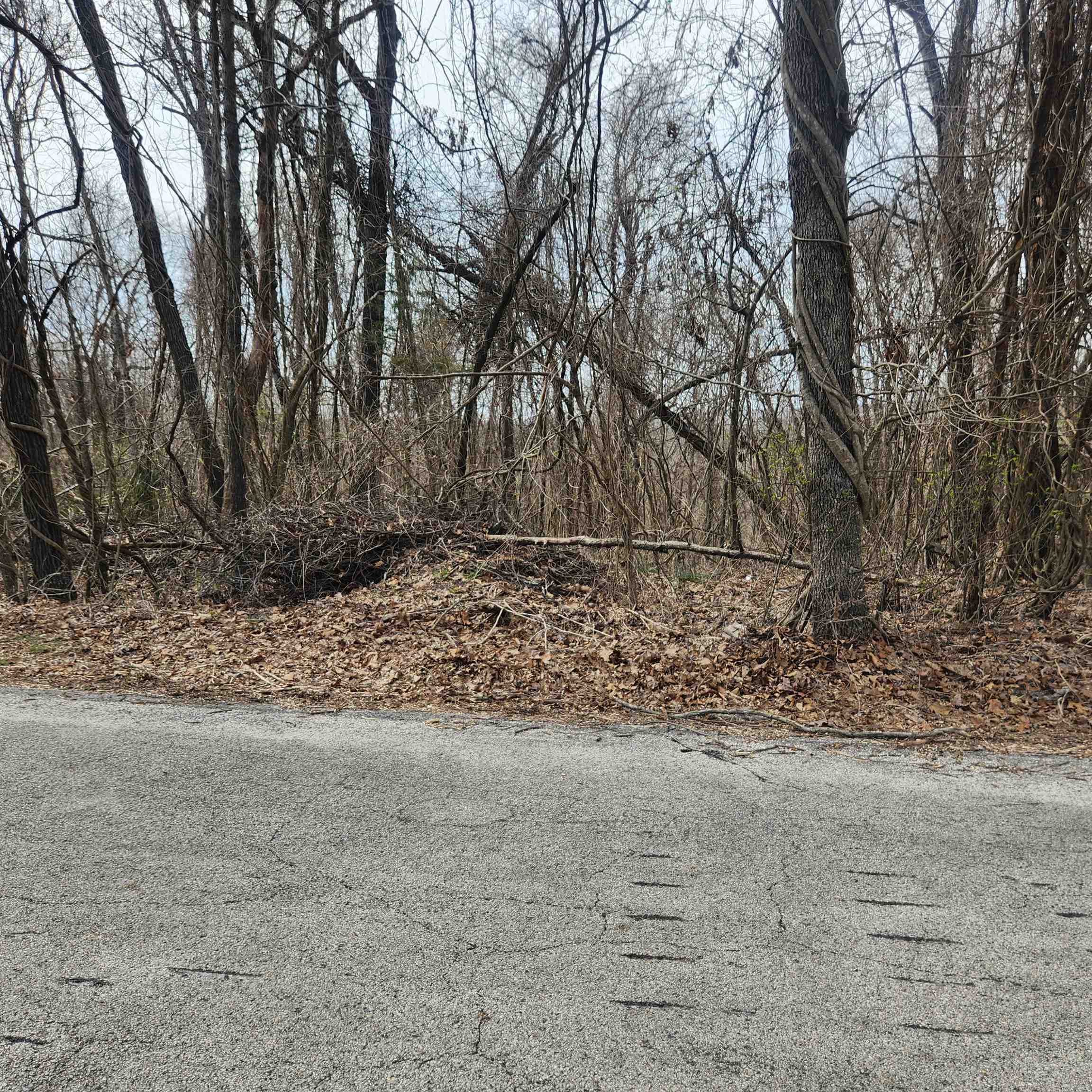 L-1, B-9 Hiawatha Drive Property Photo 10