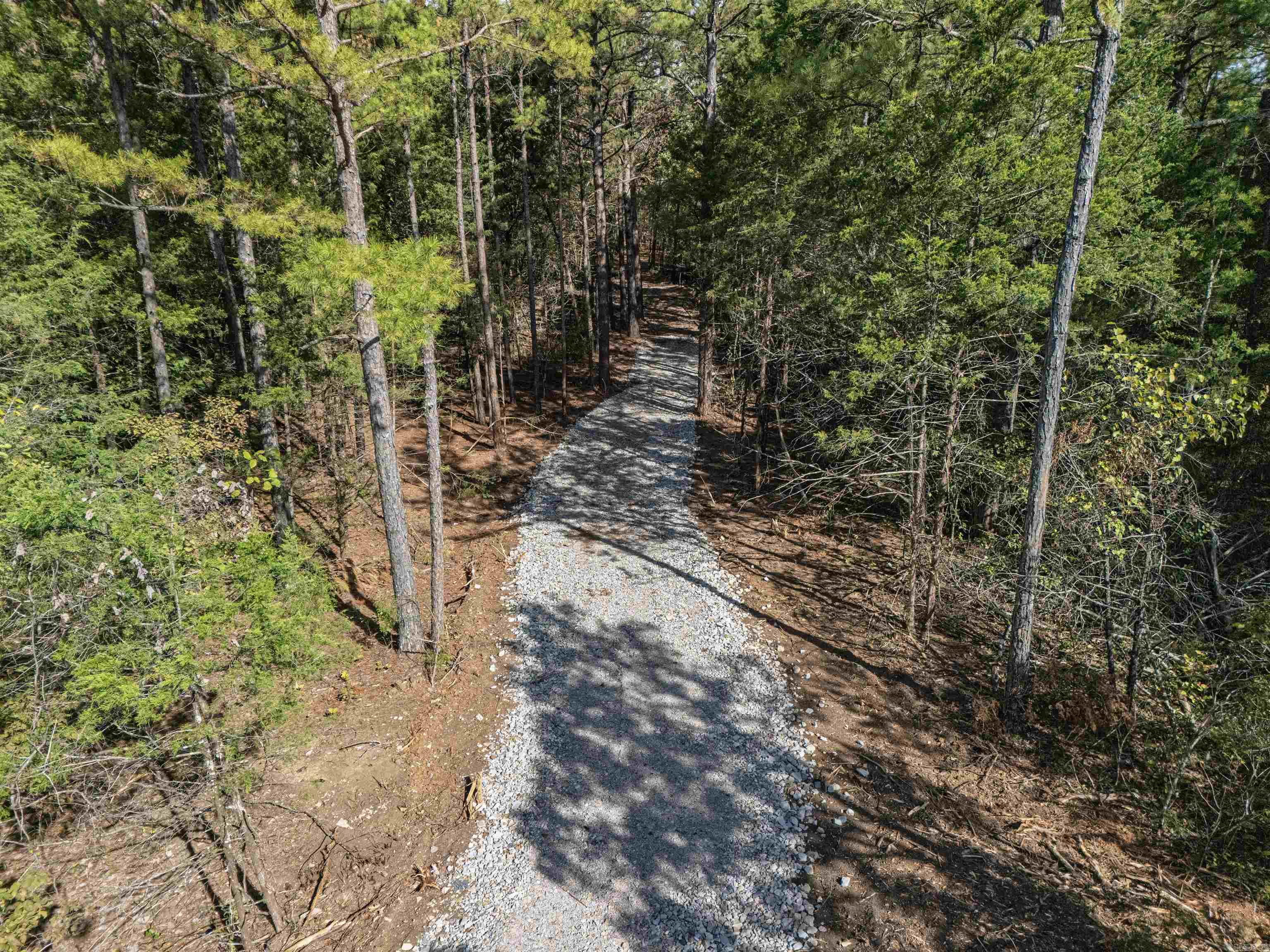 4200 Norfolk River Rd Property Photo 3