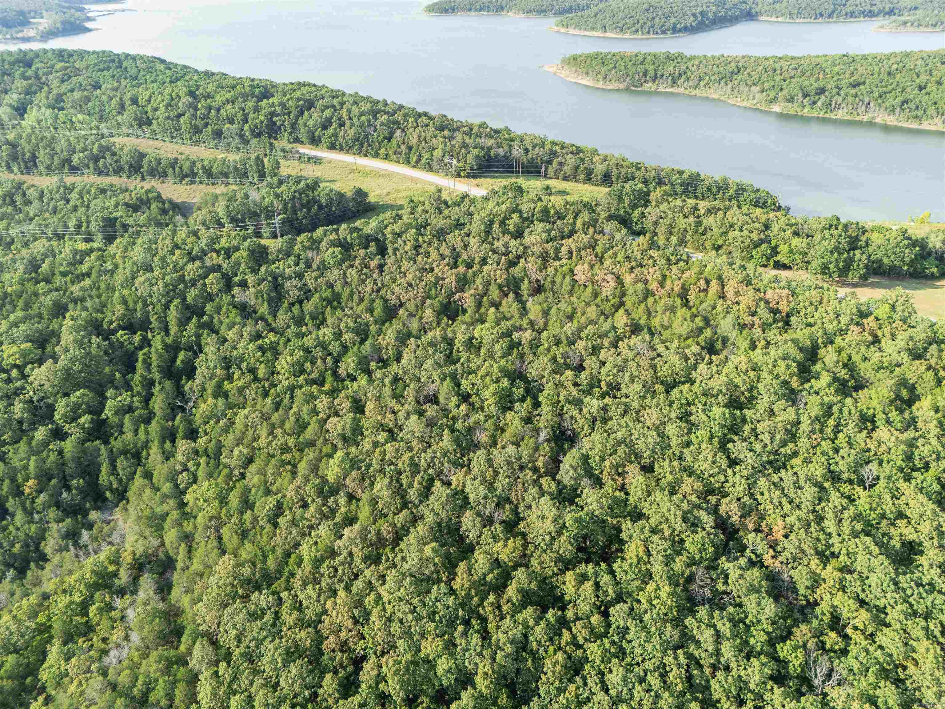 4200 Norfolk River Rd Property Photo 9