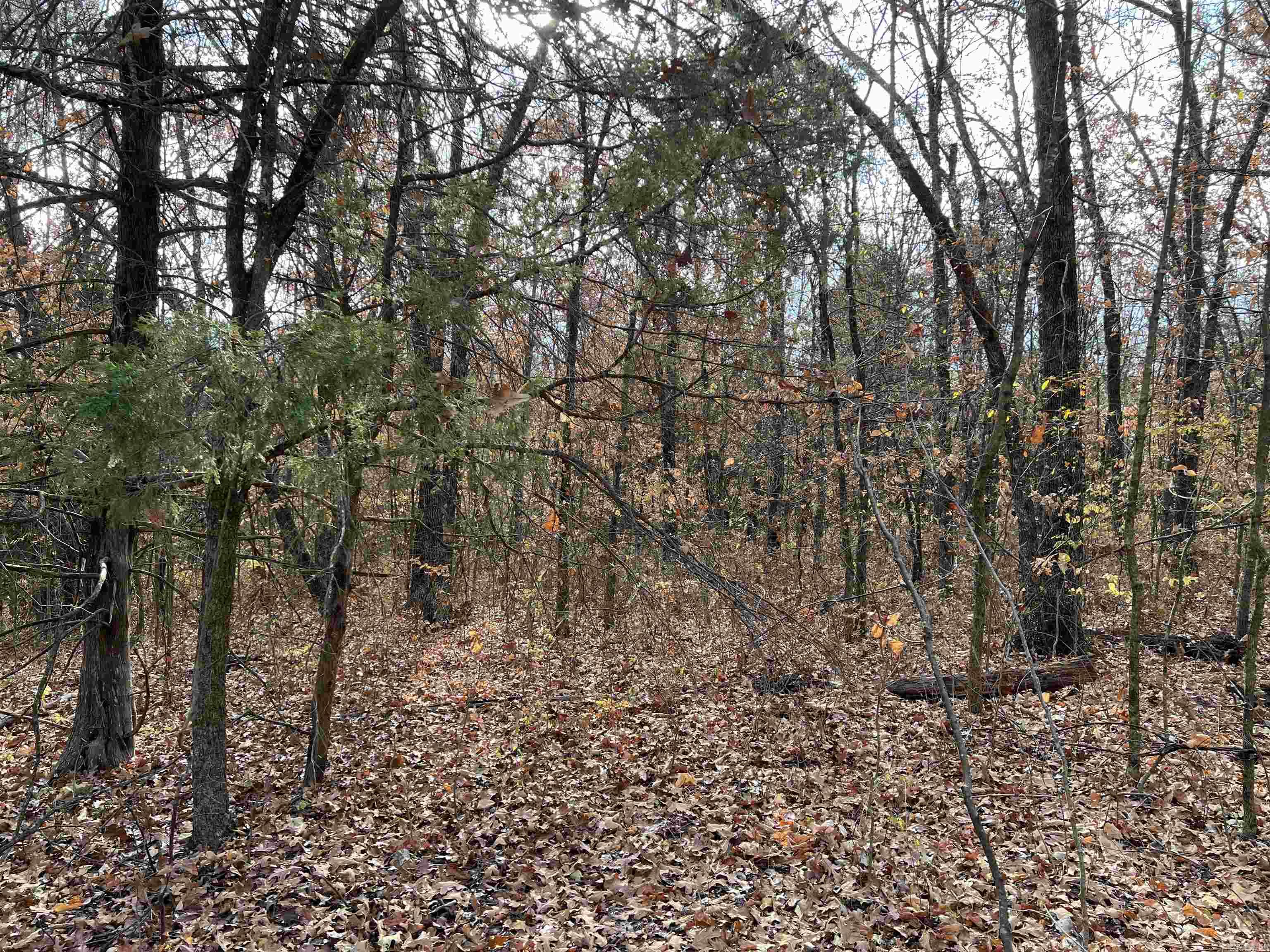 2758 N Center Loop Property Photo 11