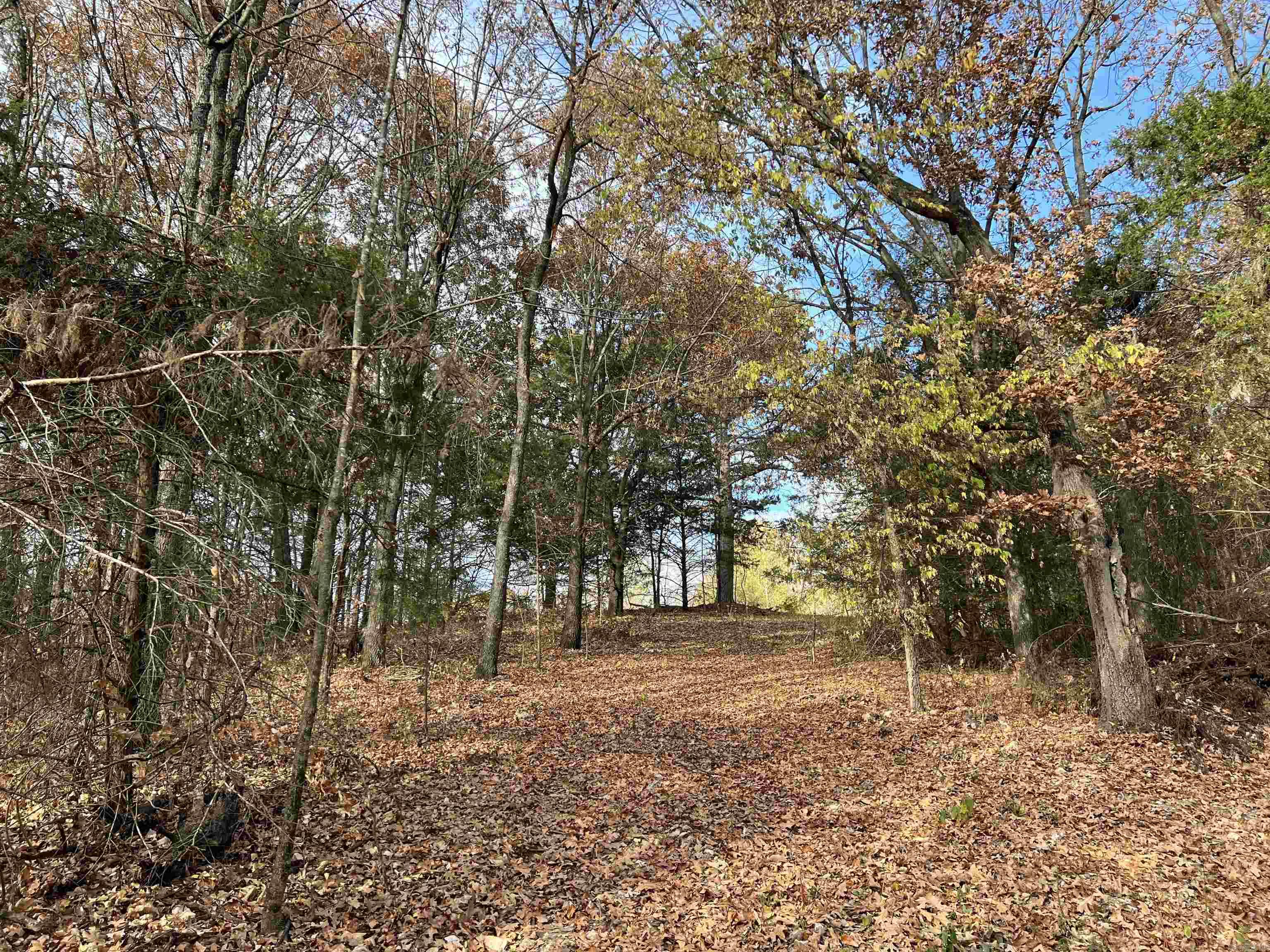 2758 N Center Loop Property Photo 14