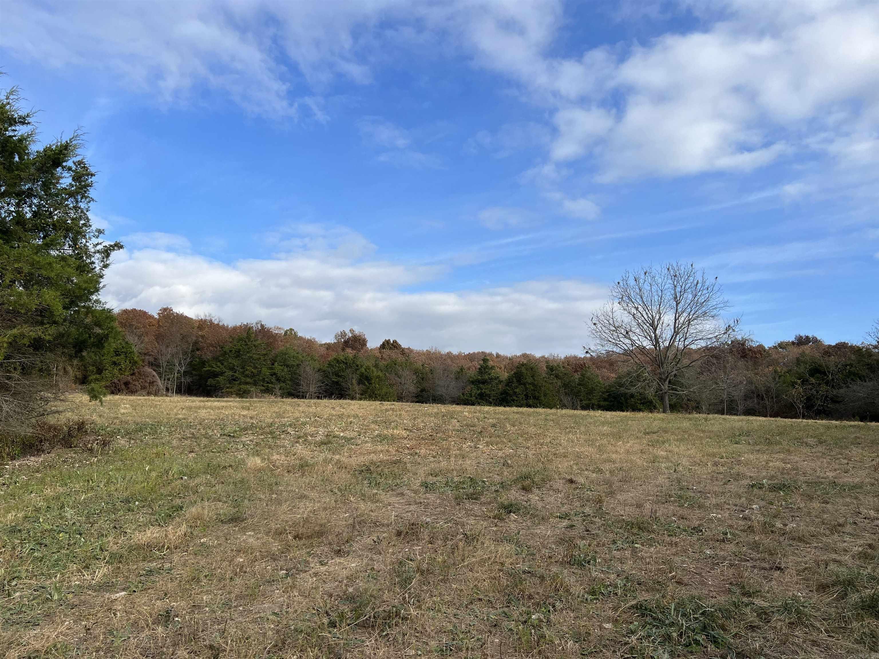 2758 N Center Loop Property Photo 15