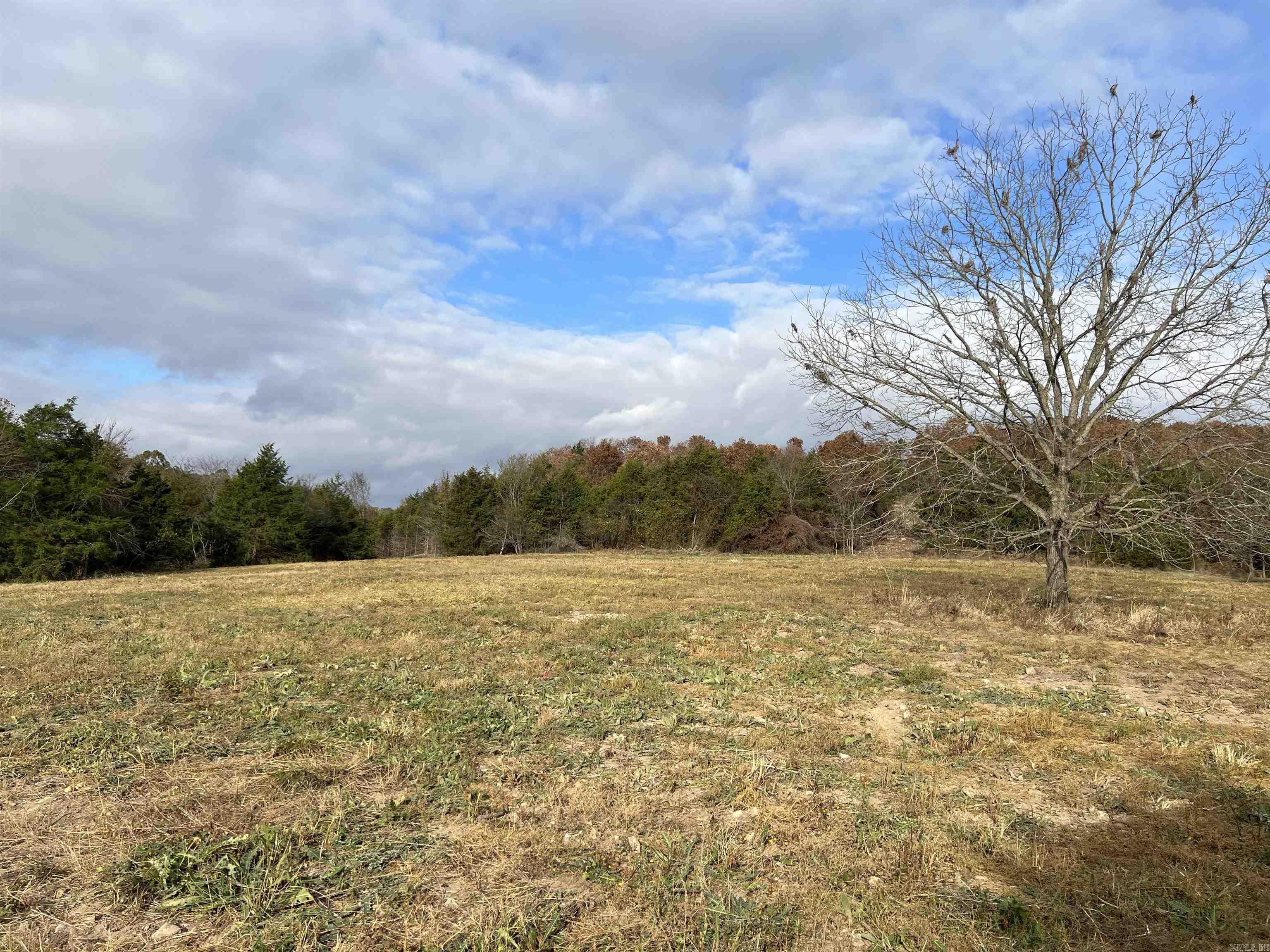 2758 N Center Loop Property Photo 16
