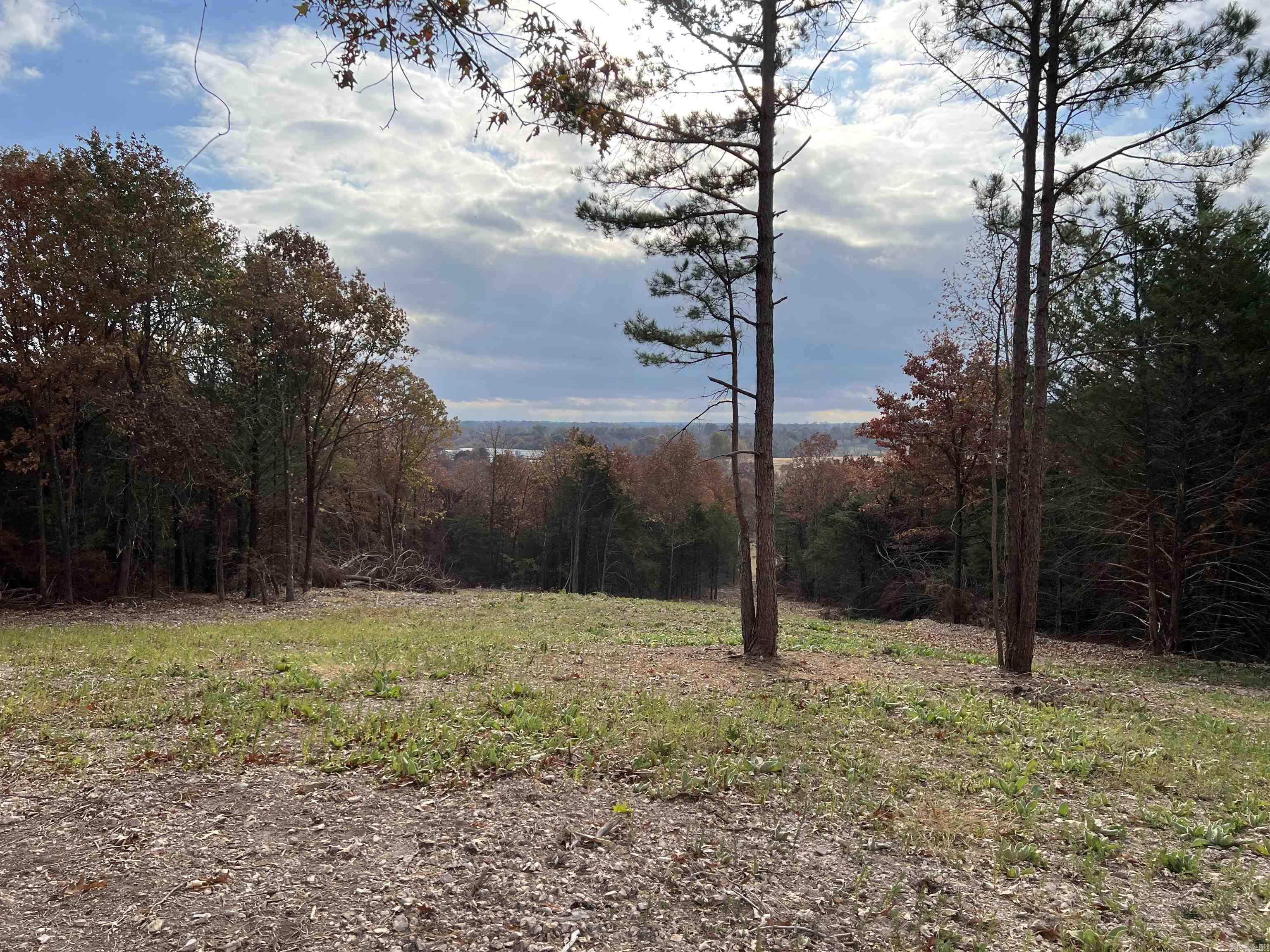 2758 N Center Loop Property Photo 19