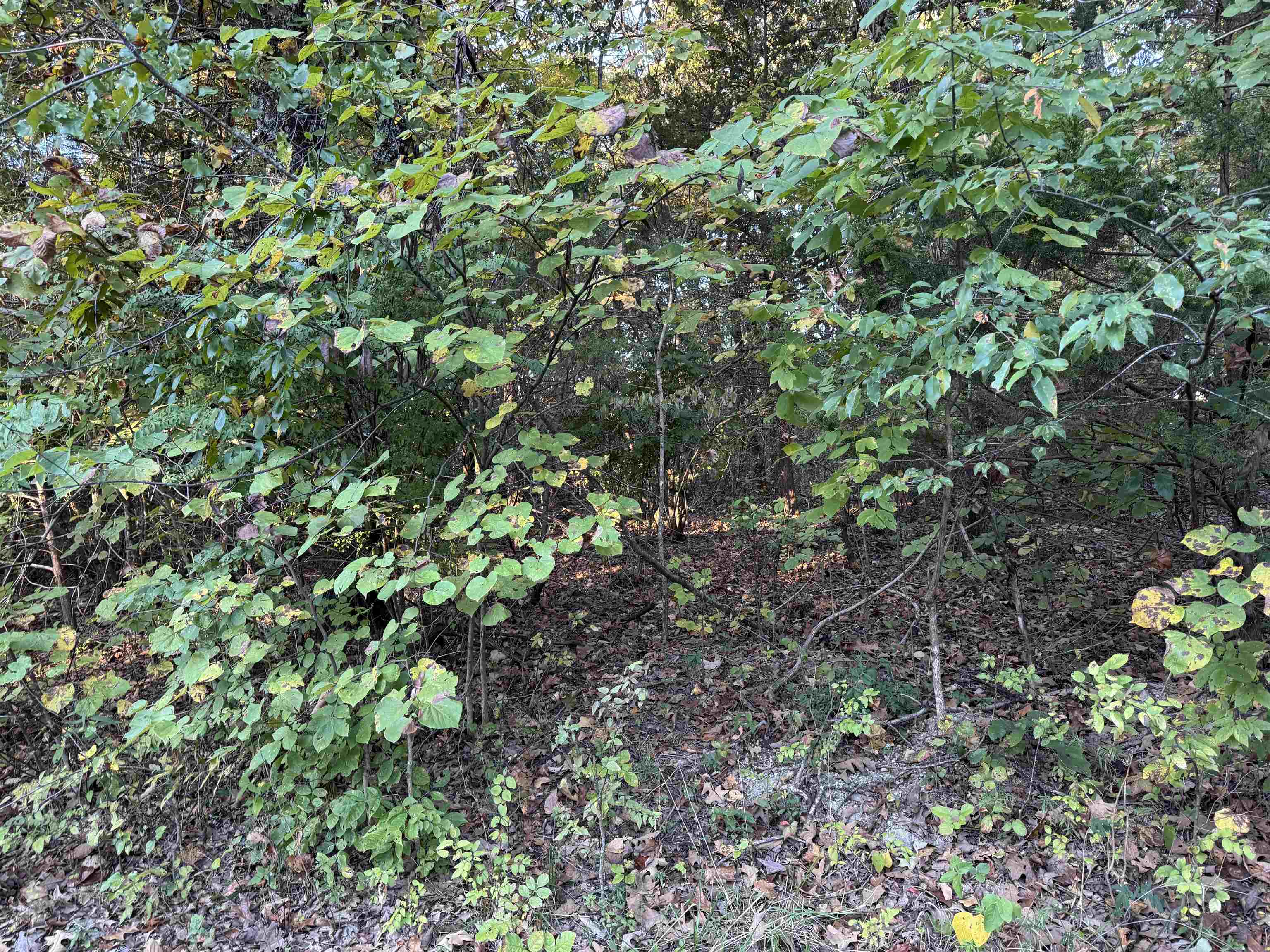 1108 & 1110 Pavilion Lane Property Photo 1