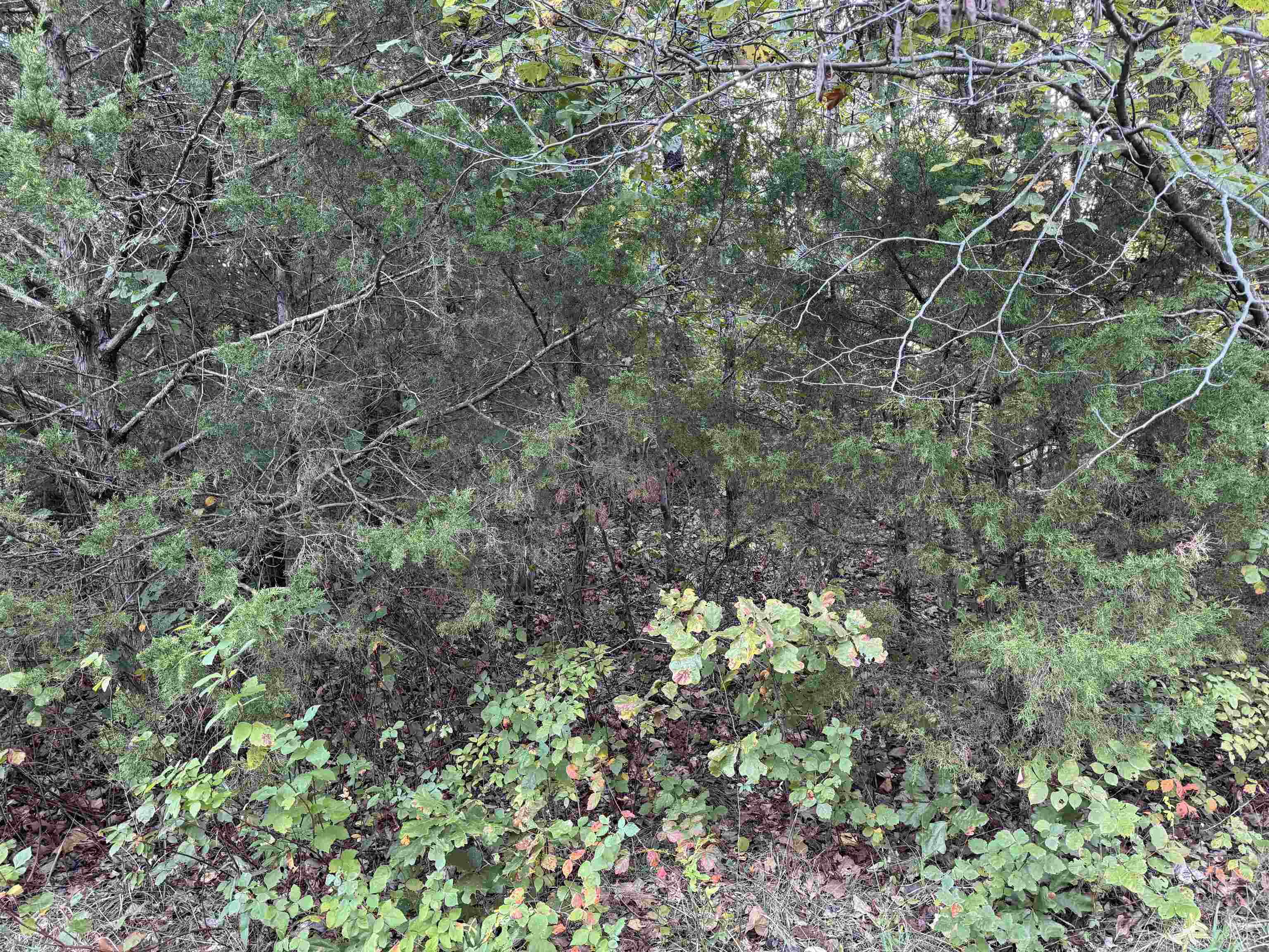 1108 & 1110 Pavilion Lane Property Photo 4