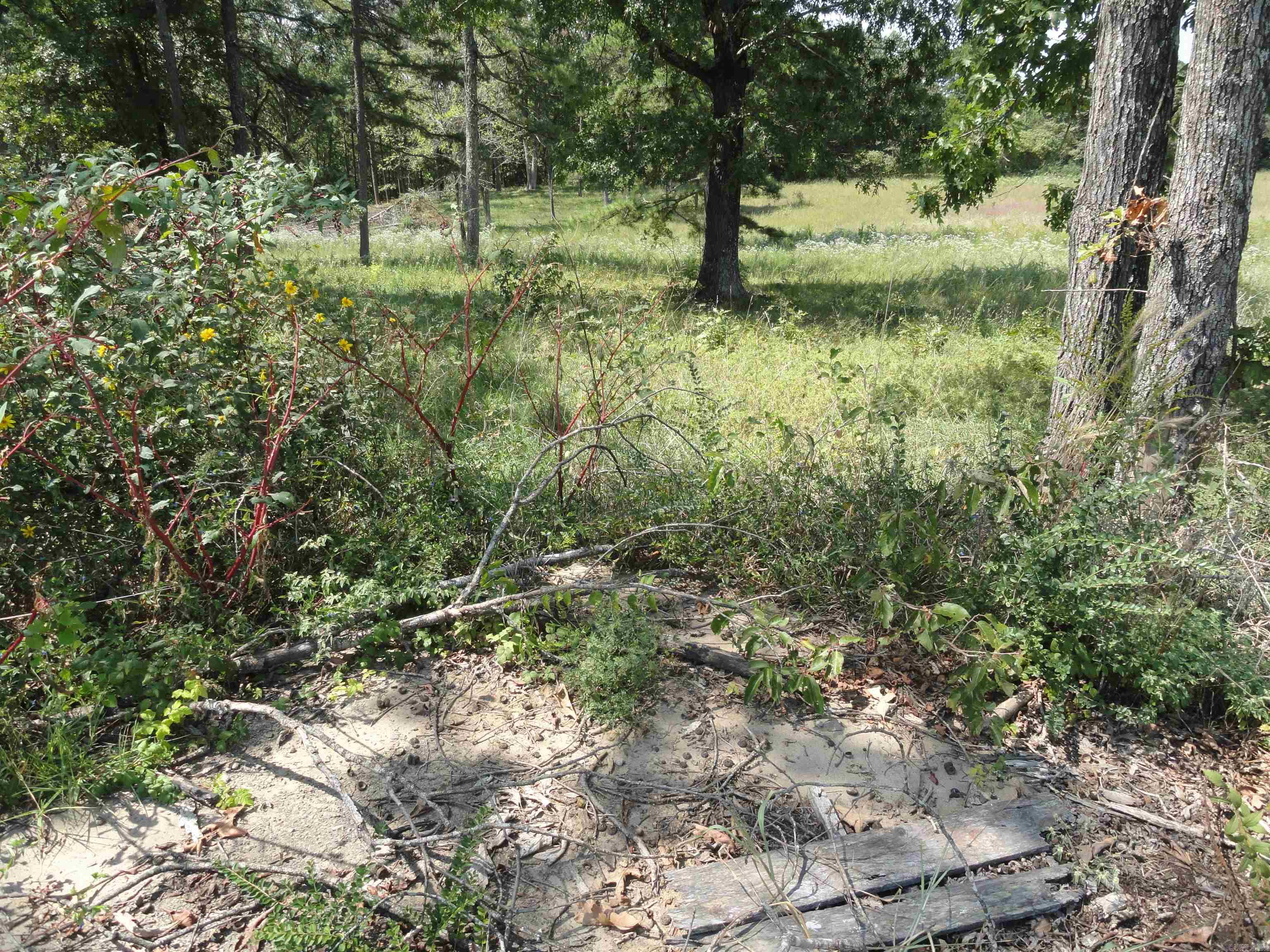 4971 Us-65 N Highway Property Photo 6
