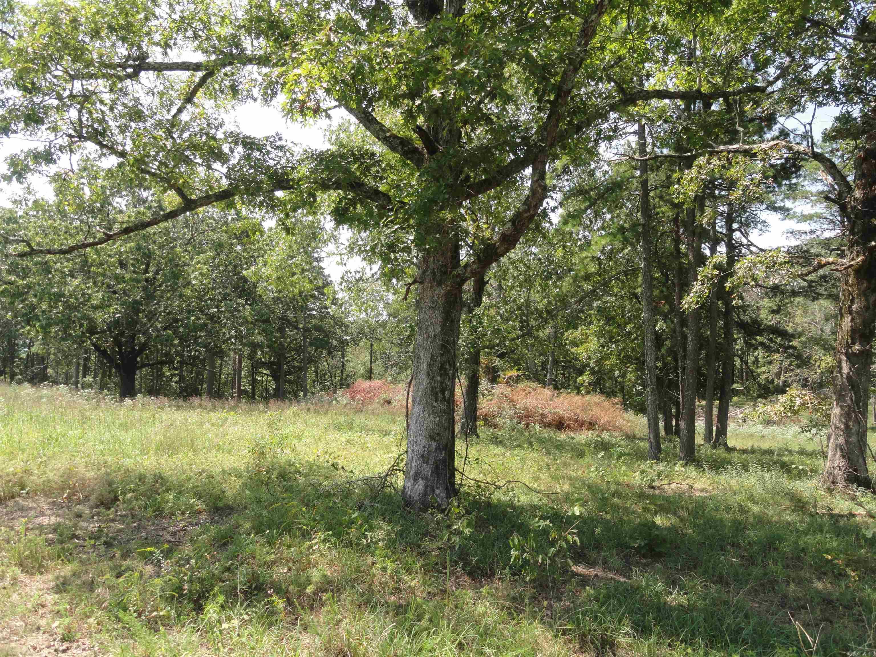 4971 Us-65 N Highway Property Photo 8