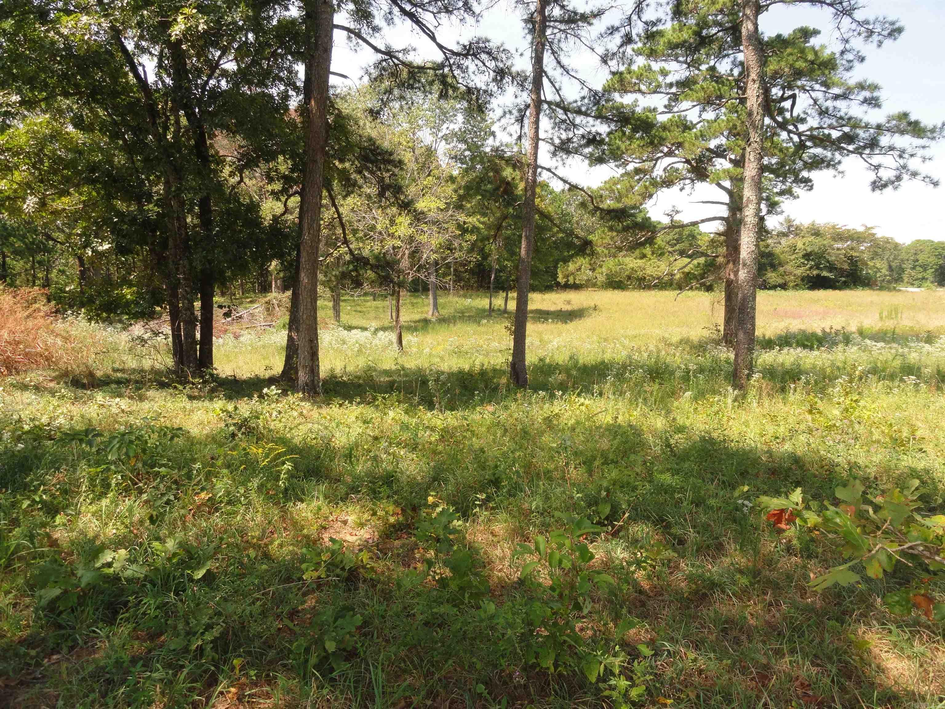 4971 Us-65 N Highway Property Photo 10