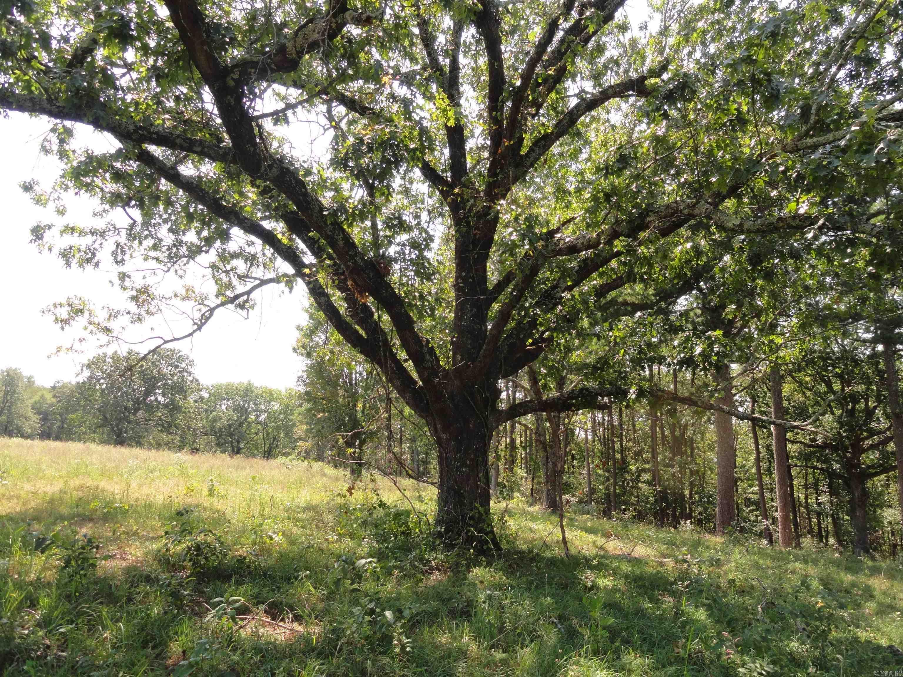4971 Us-65 N Highway Property Photo 11