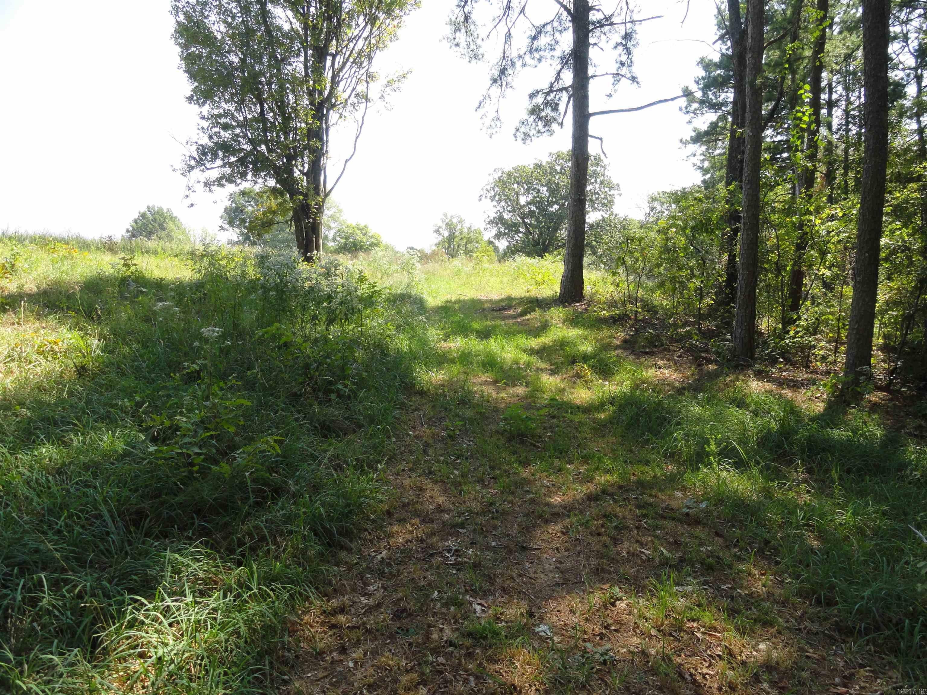 4971 Us-65 N Highway Property Photo 13