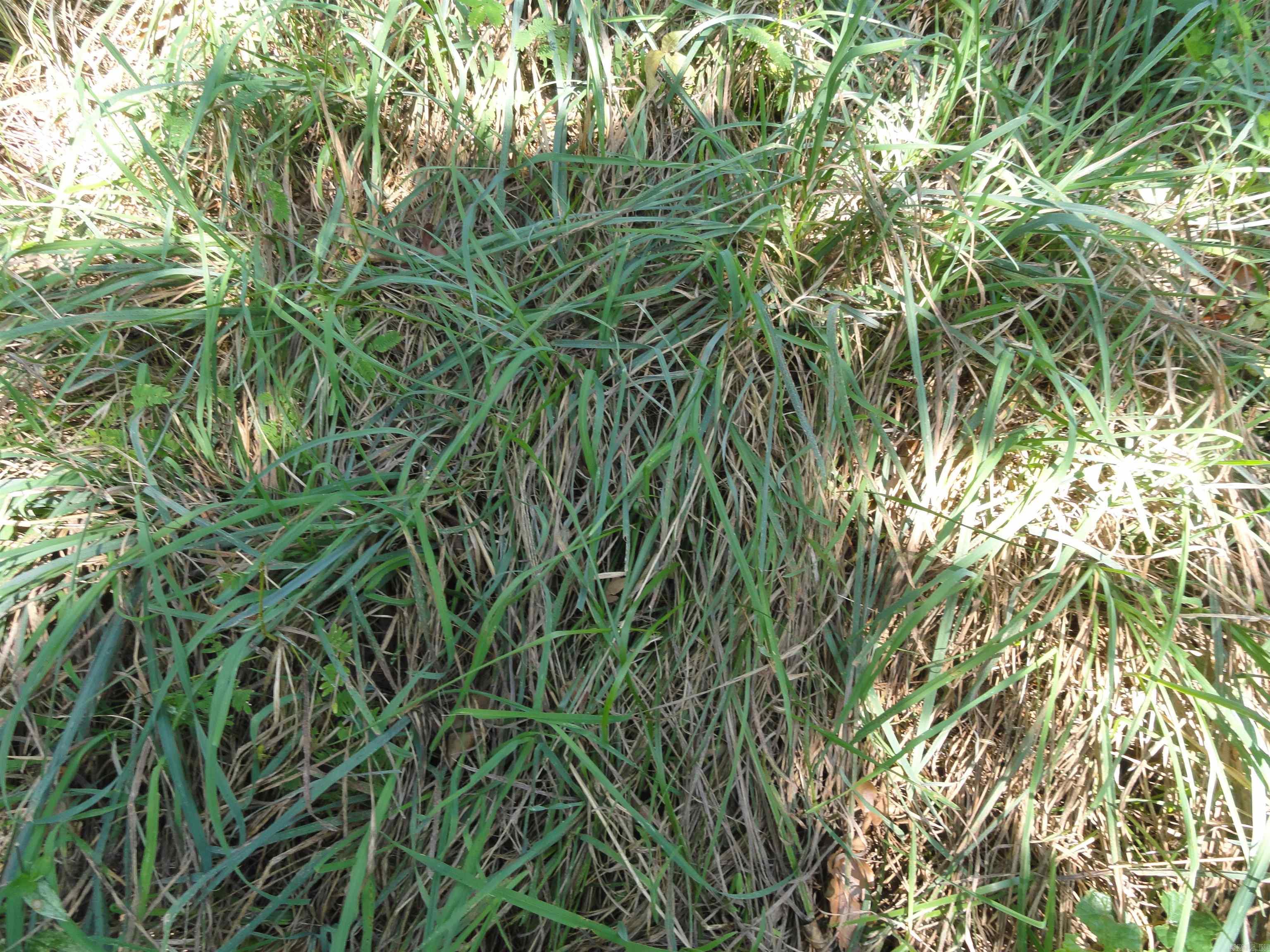 4971 Us-65 N Highway Property Photo 15