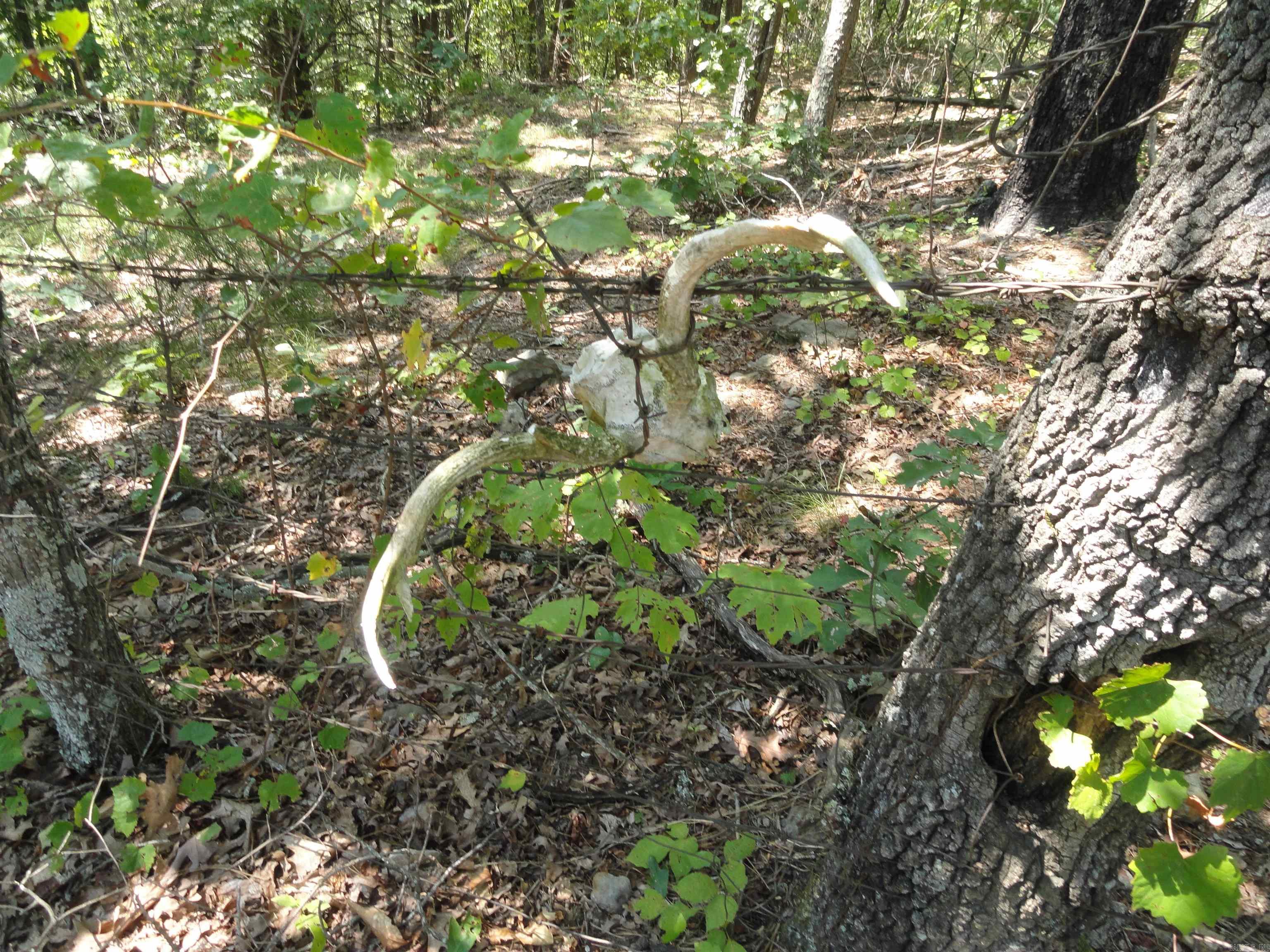 4971 Us-65 N Highway Property Photo 16