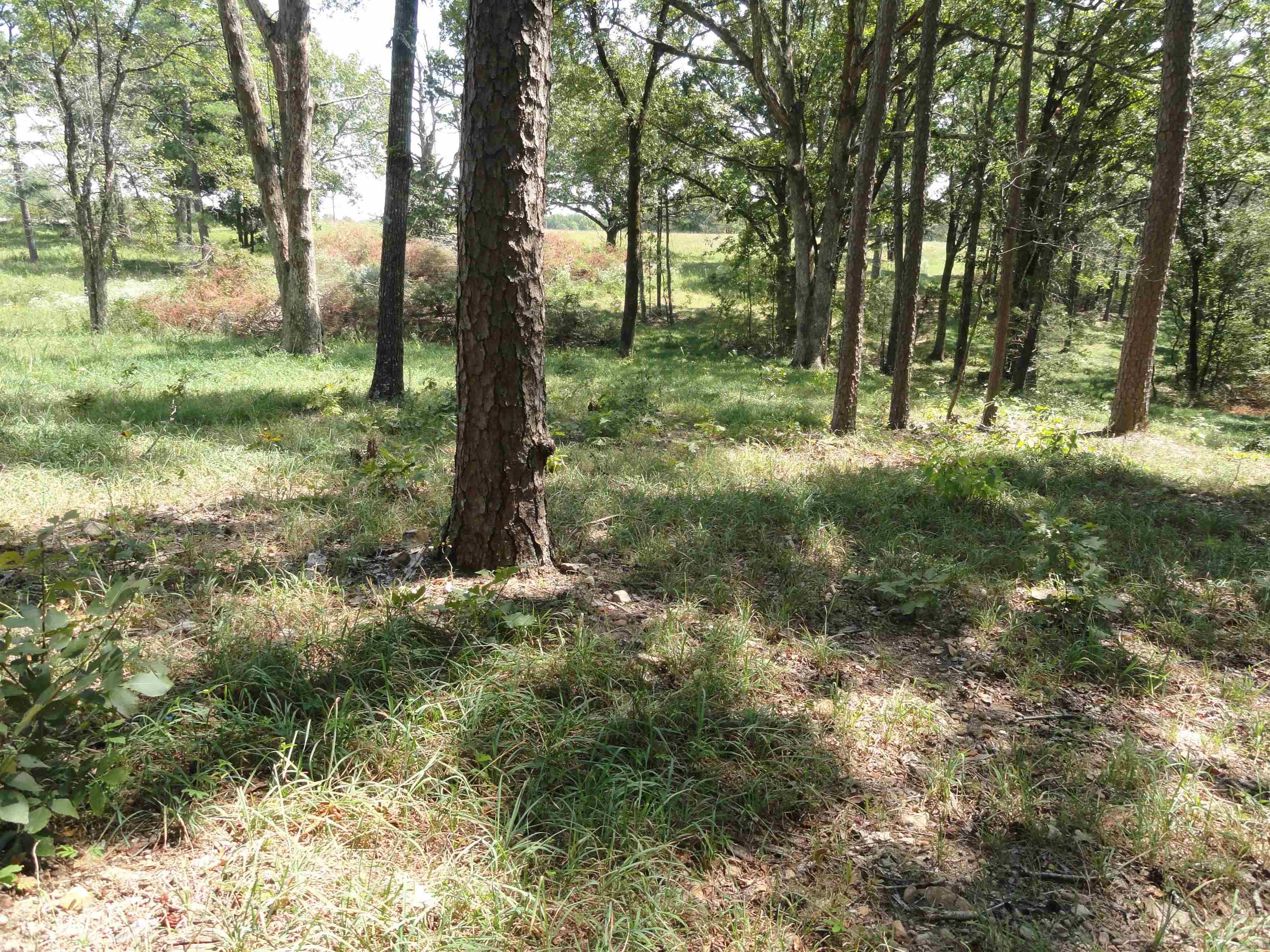 4971 Us-65 N Highway Property Photo 18