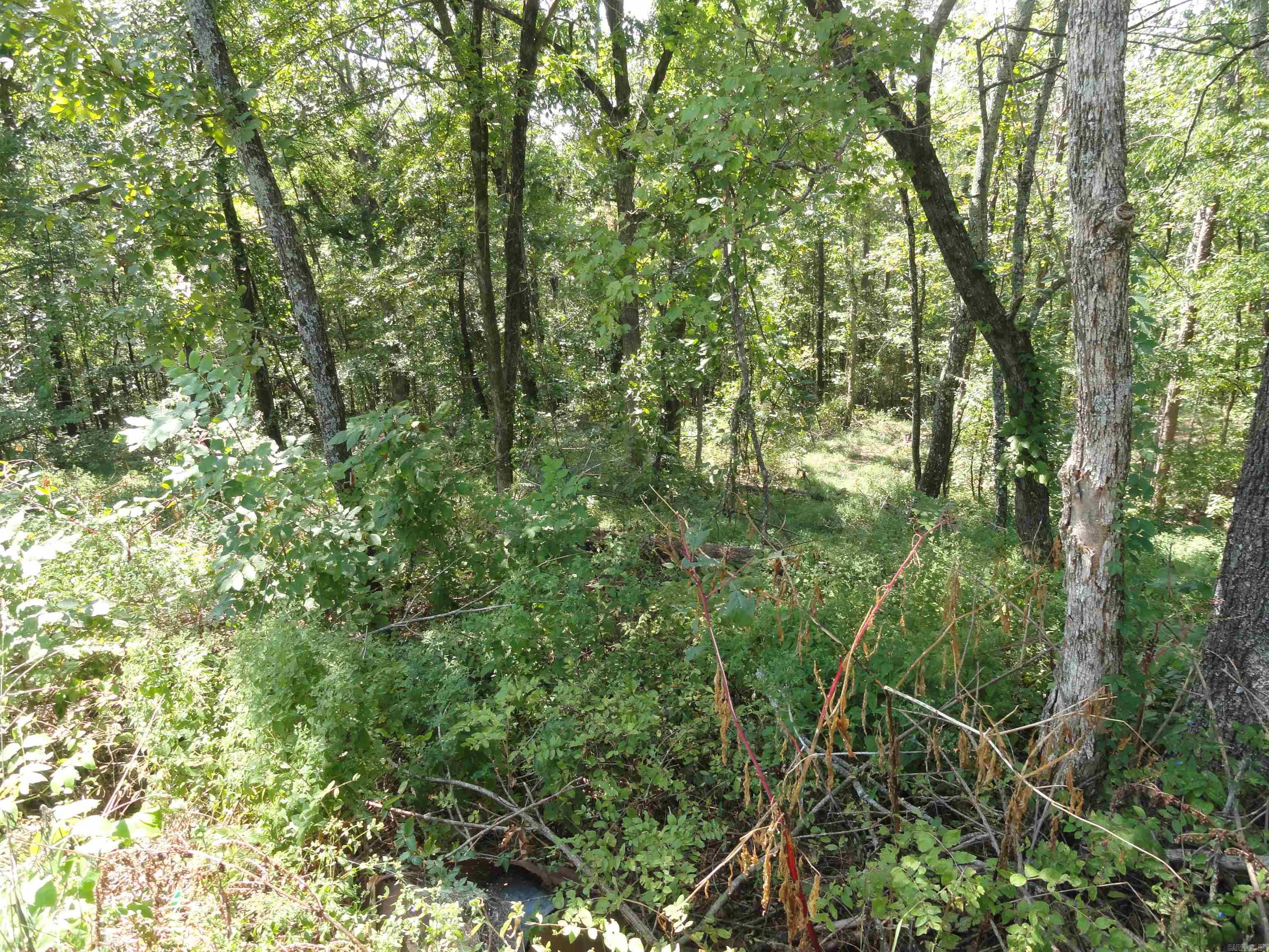 4971 Us-65 N Highway Property Photo 26