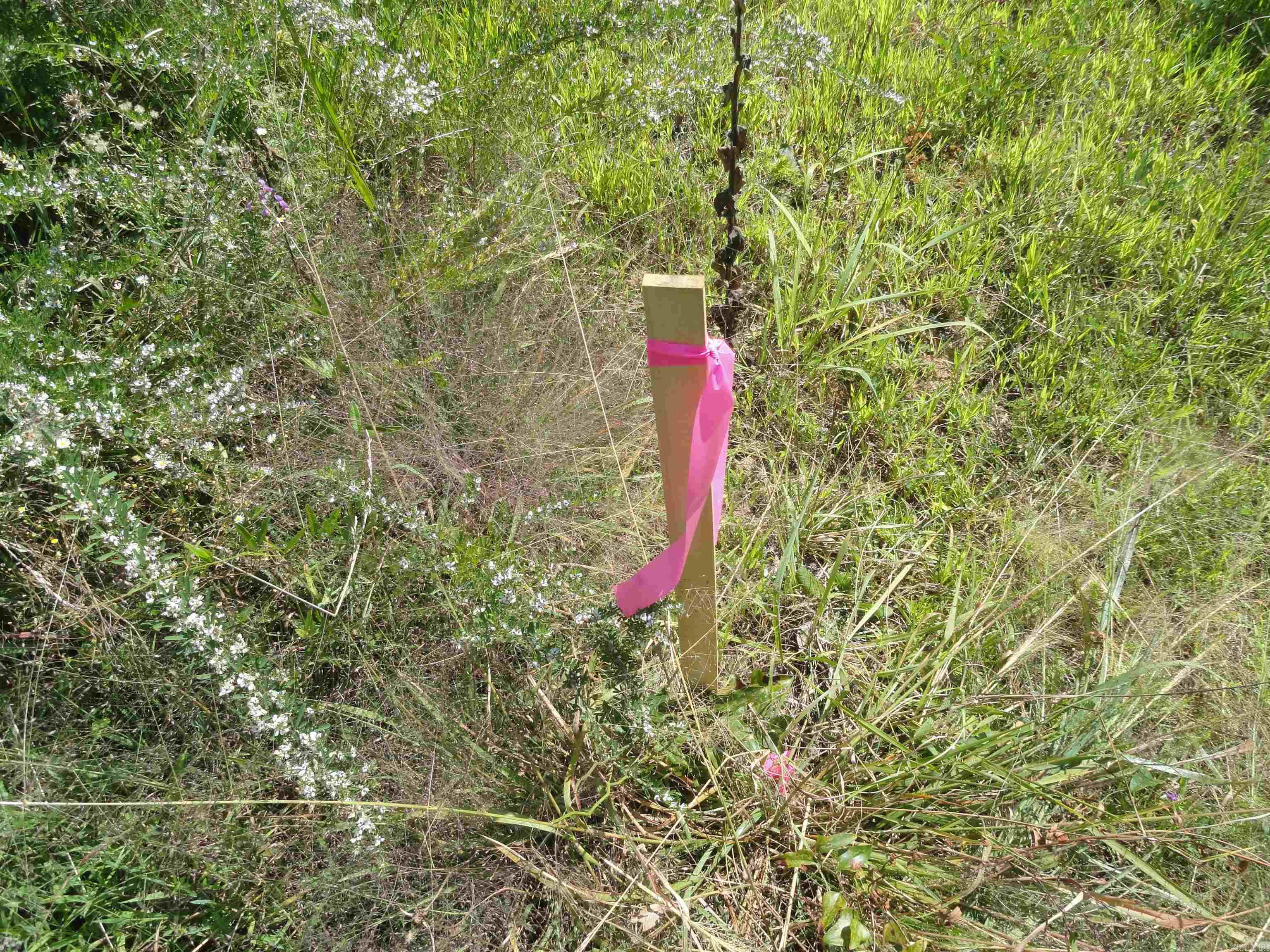 4971 Us-65 N Highway Property Photo 27
