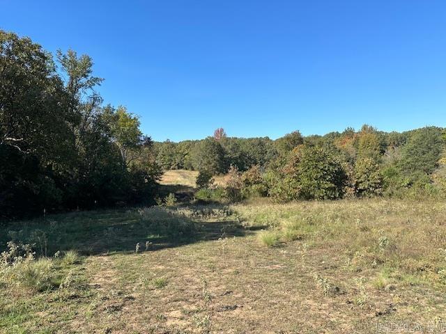 1528 Highway 167 N Property Photo 7