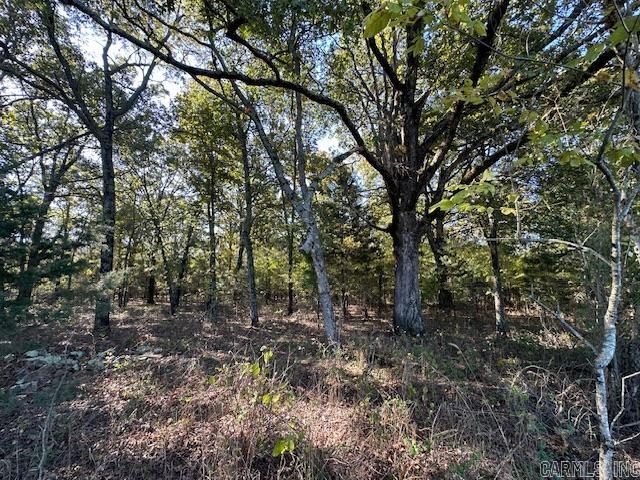 1528 Highway 167 N Property Photo 8