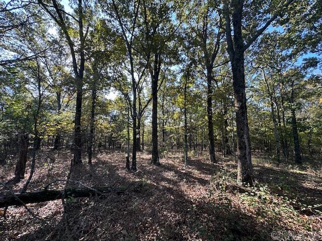 1528 Highway 167 N Property Photo 9