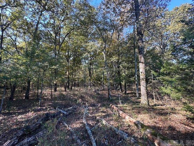 1528 Highway 167 N Property Photo 10