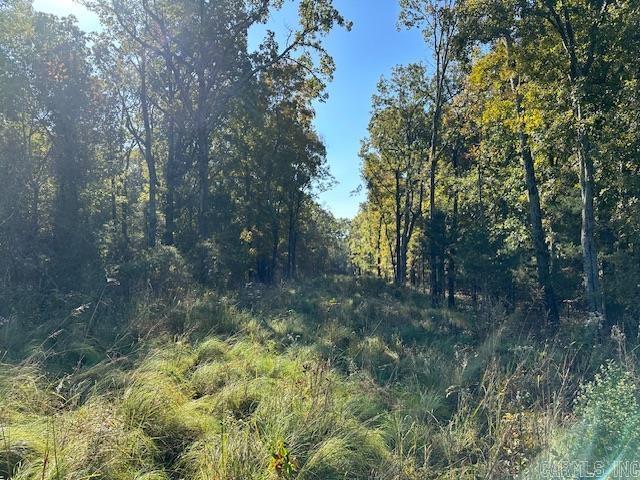 1528 Highway 167 N Property Photo 11