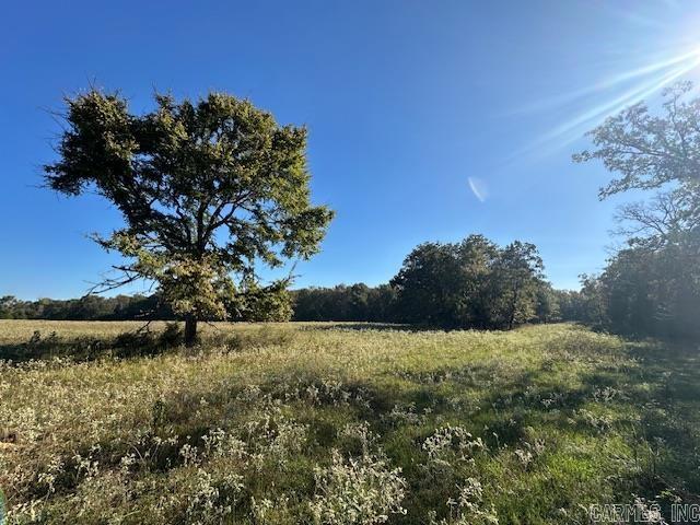 1528 Highway 167 N Property Photo 13