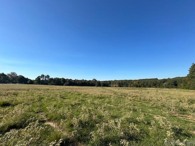 1528 Highway 167 N Property Photo 15