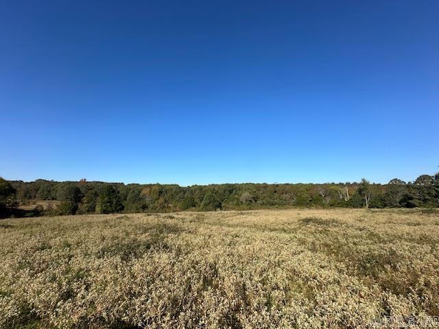 1528 Highway 167 N Property Photo 17