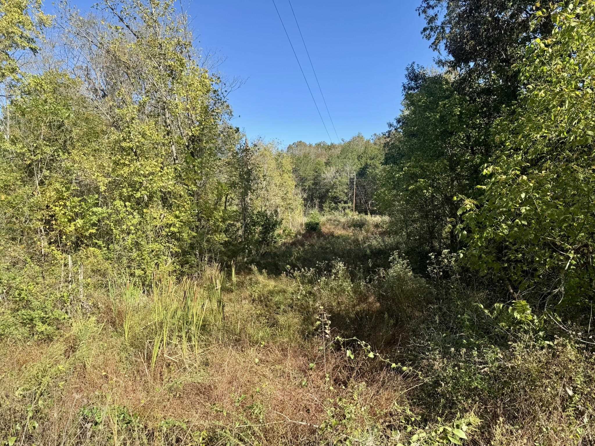 4.5a Honeysuckle Lane Property Photo 1