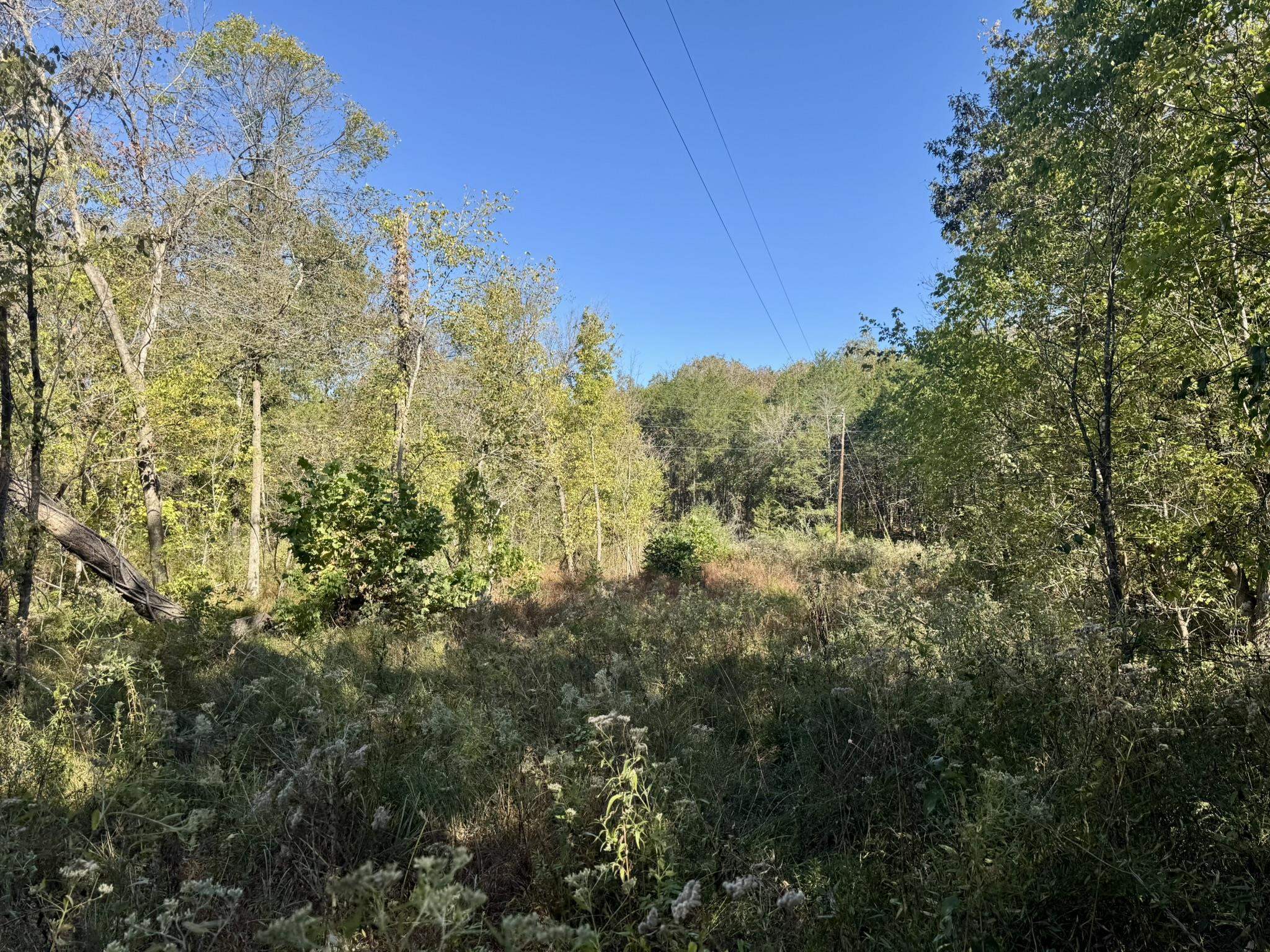 4.5a Honeysuckle Lane Property Photo 2