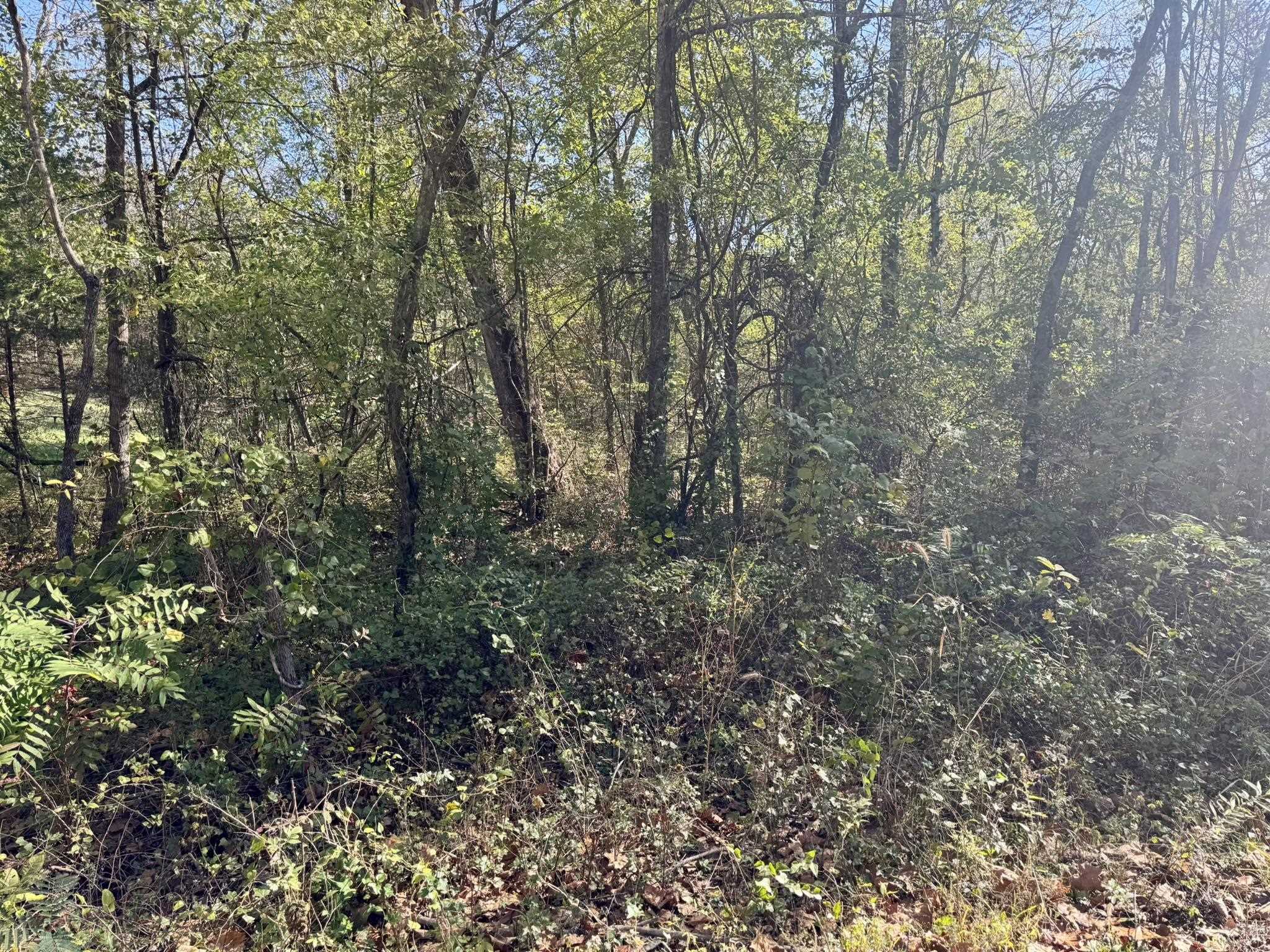 4.5a Honeysuckle Lane Property Photo 3
