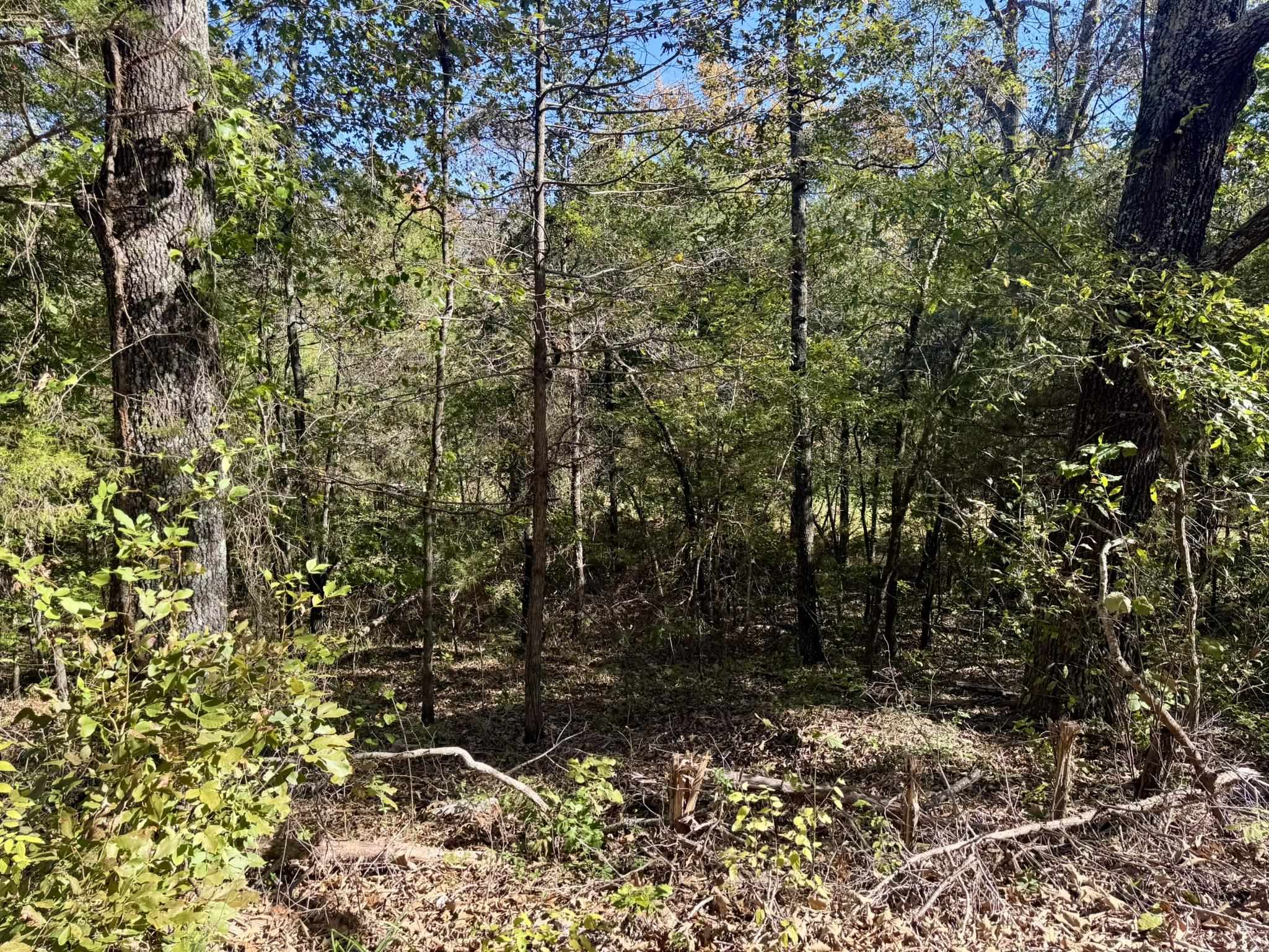 4.5a Honeysuckle Lane Property Photo 4