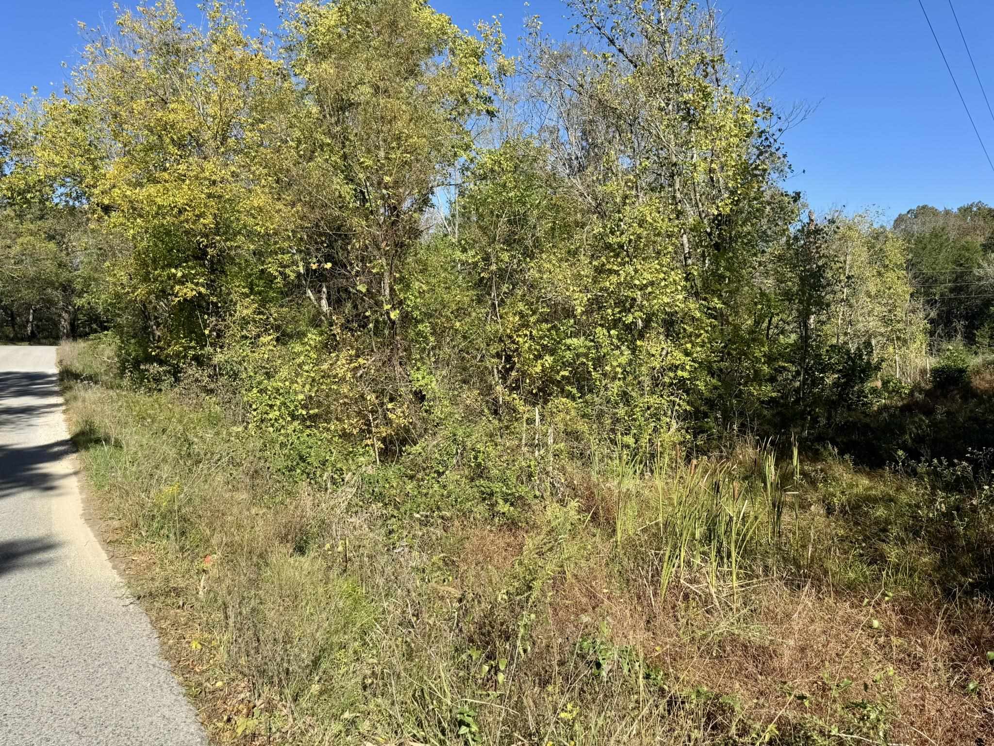 4.5a Honeysuckle Lane Property Photo 9