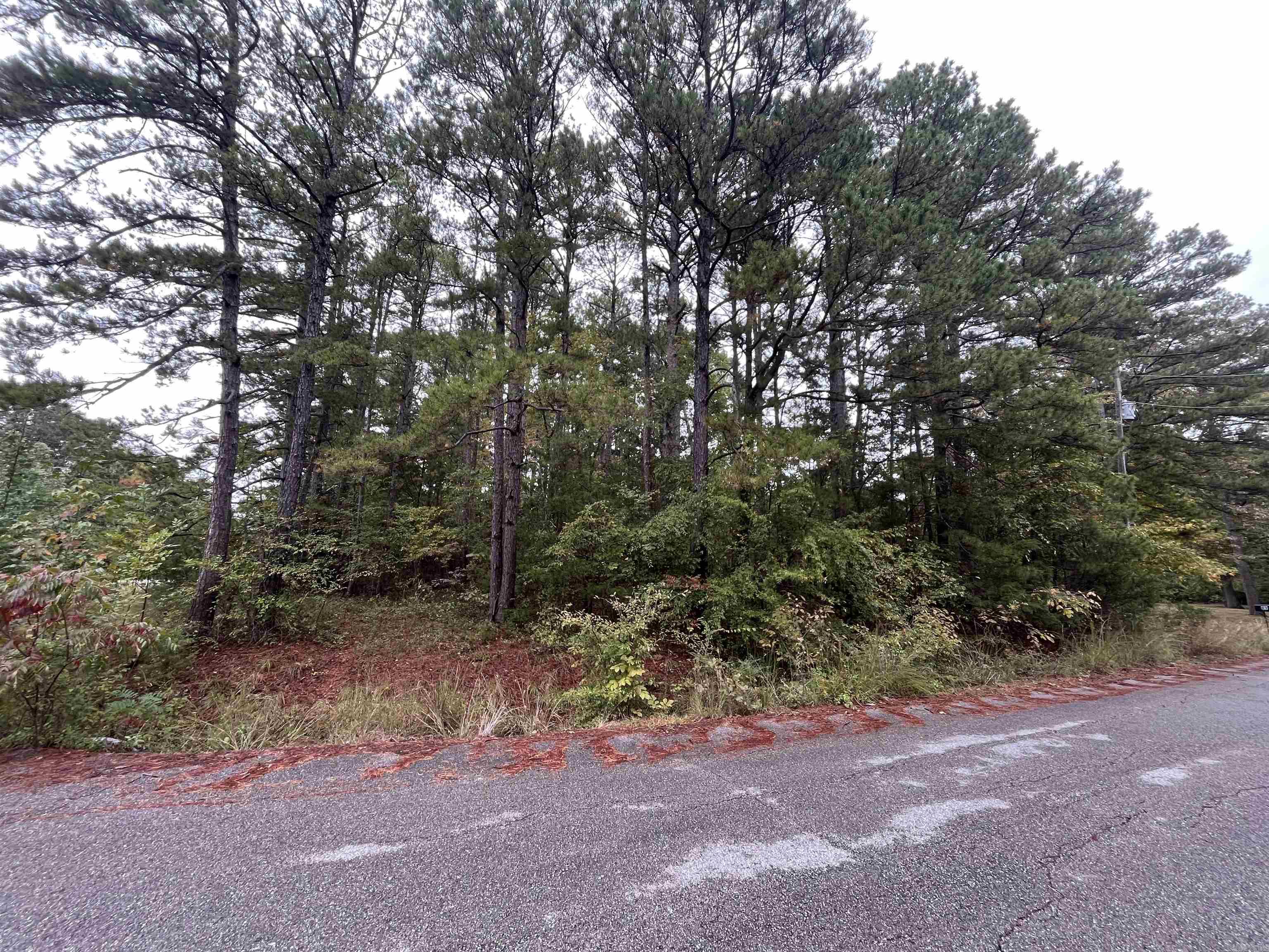000 Redbud St. Property Photo 1