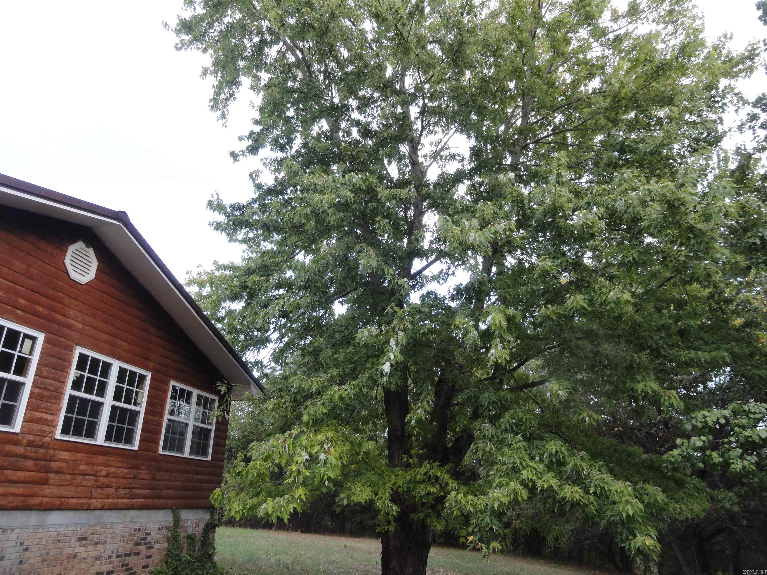 233 Piney Road Property Photo 6