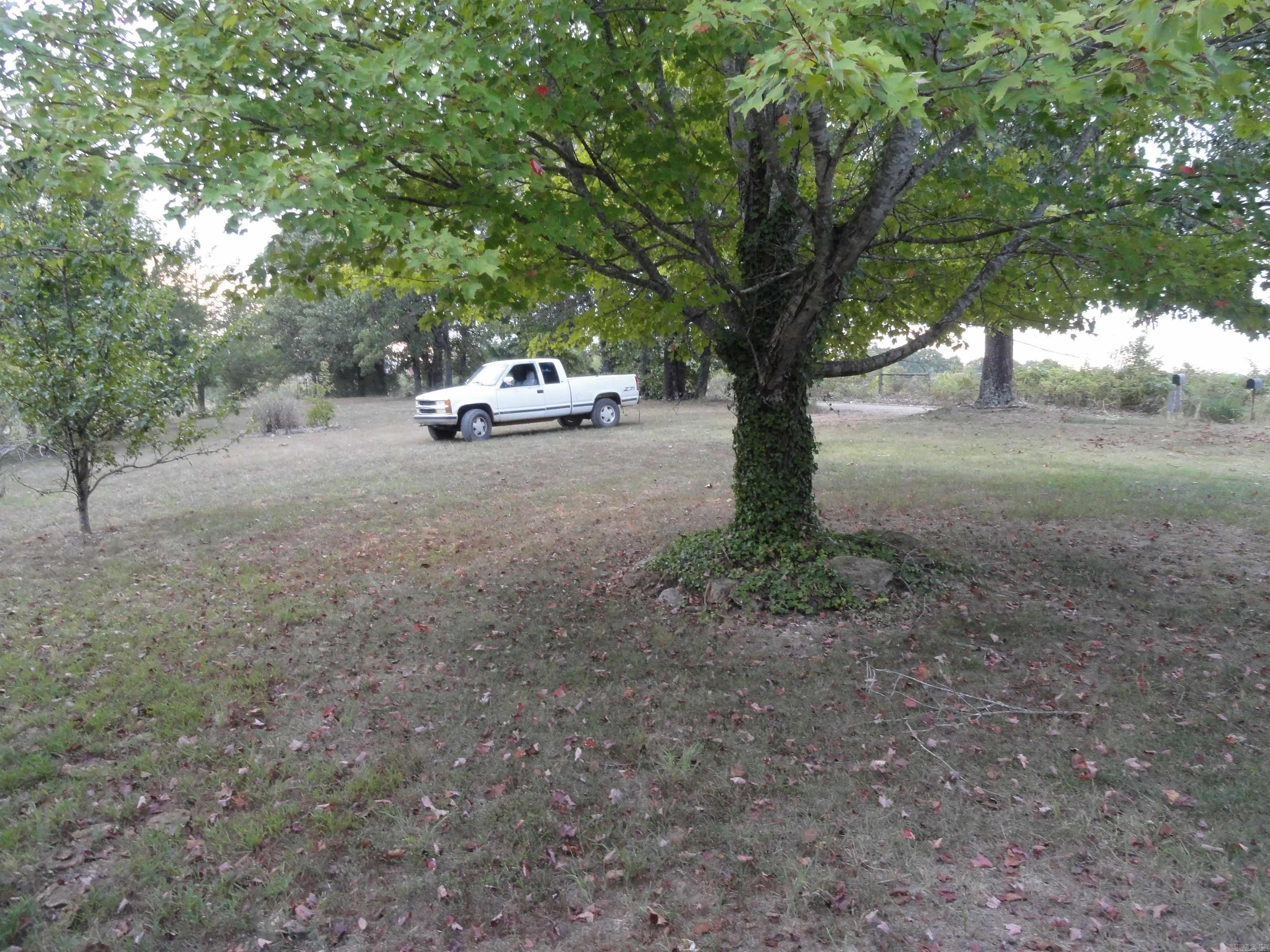 233 Piney Road Property Photo 9