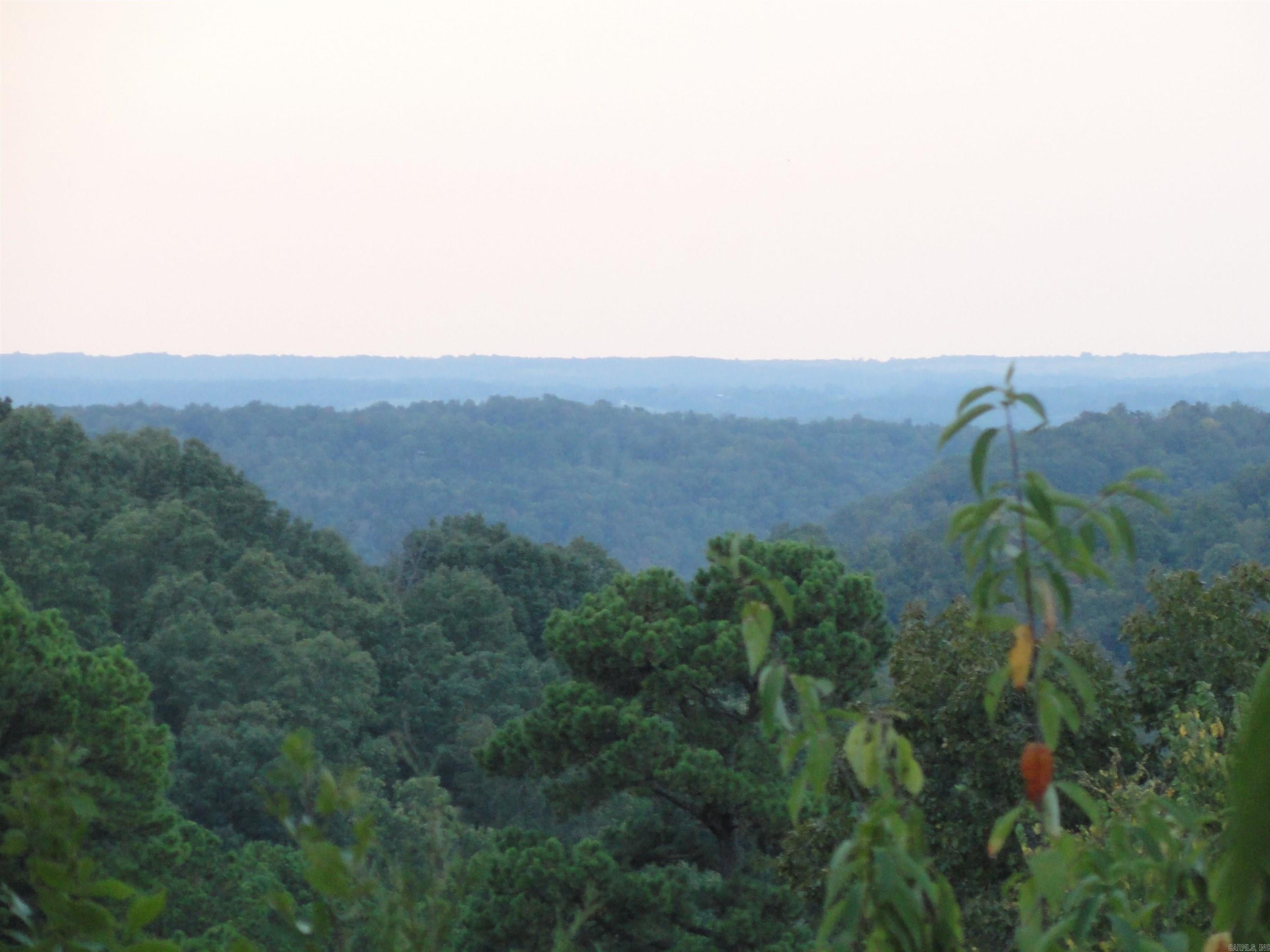 233 Piney Road Property Photo 20