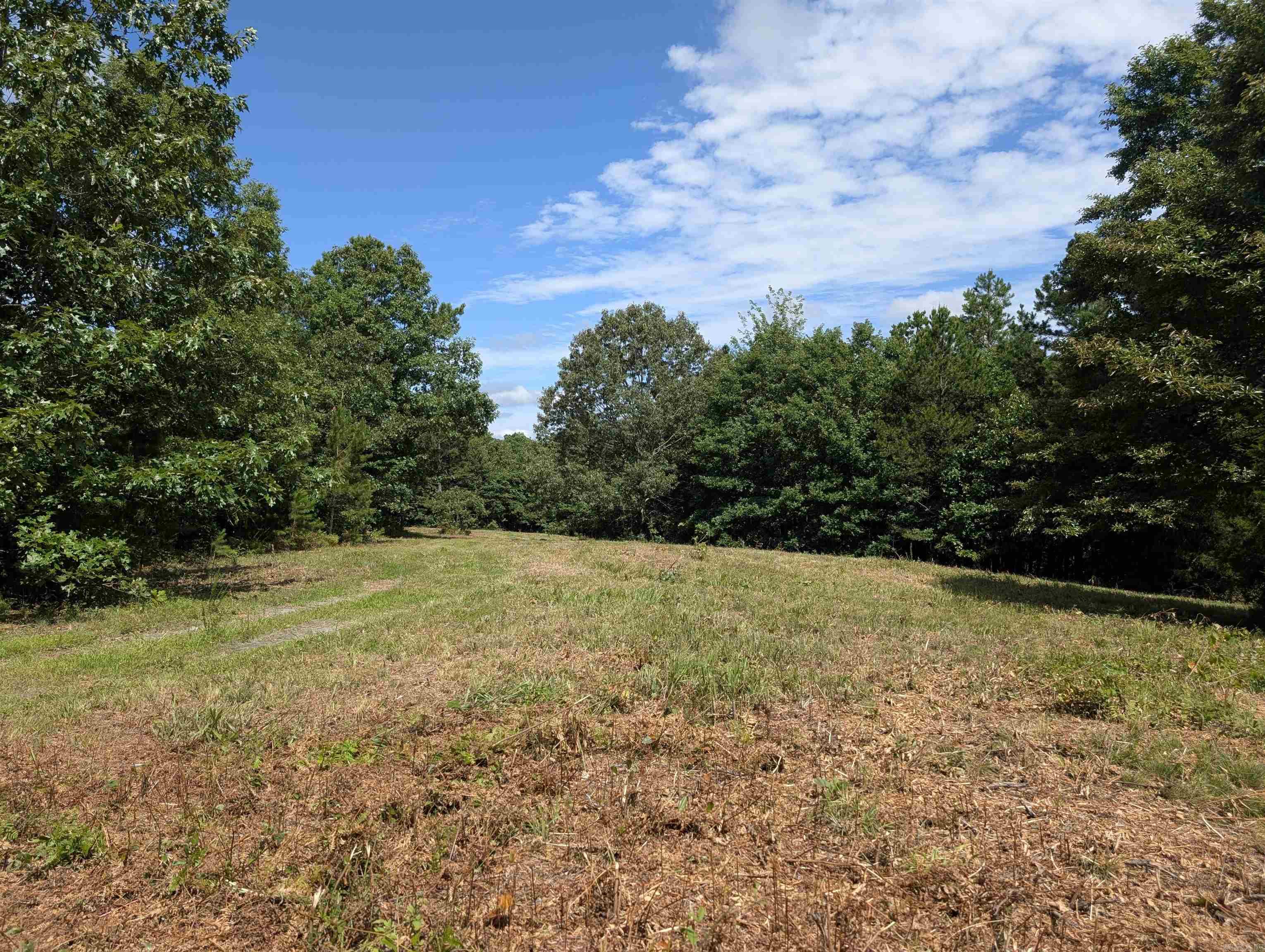 Unk Fs Road 521 Property Photo 1
