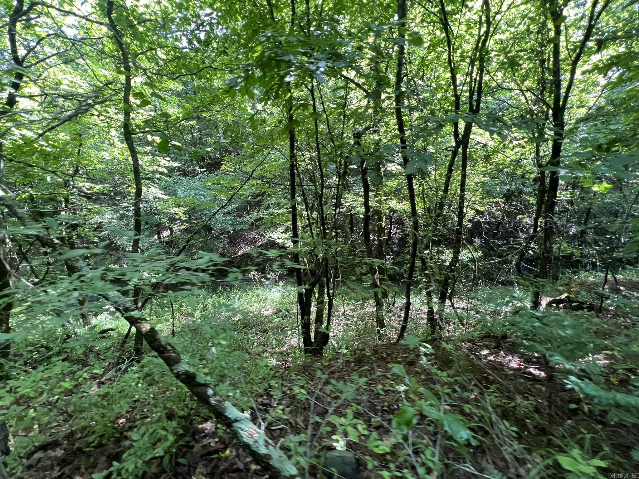 Unk Fs Road 521 Property Photo 8