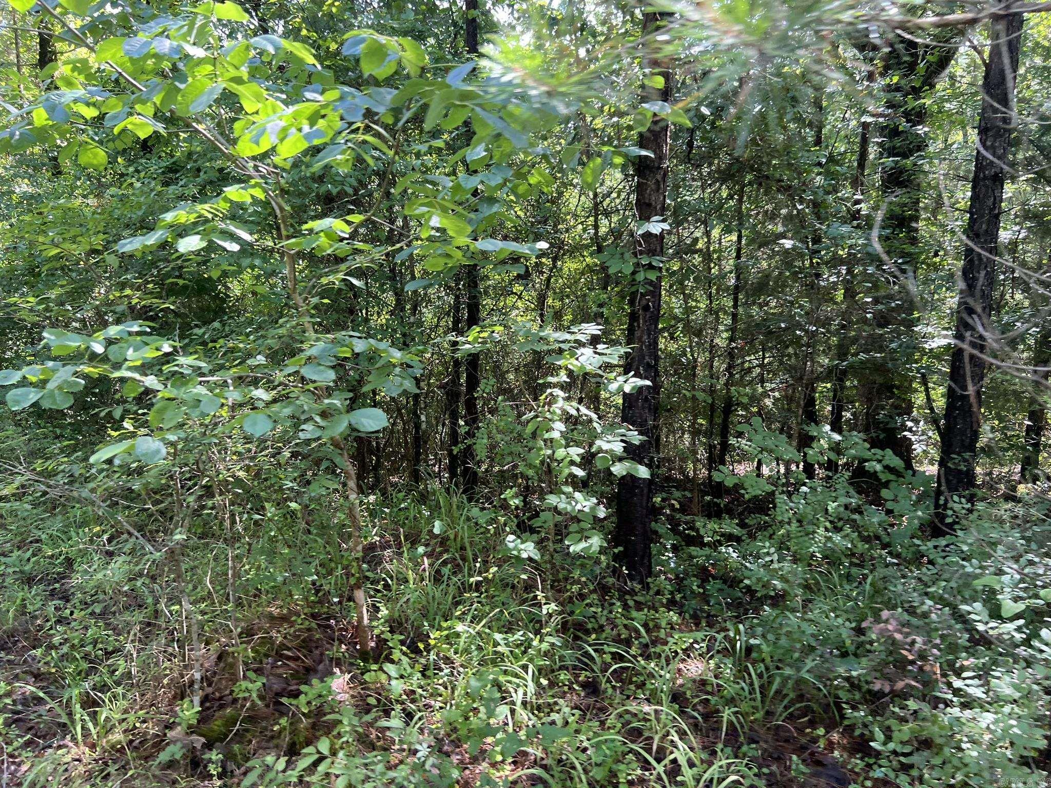 Unk Fs Road 521 Property Photo 11