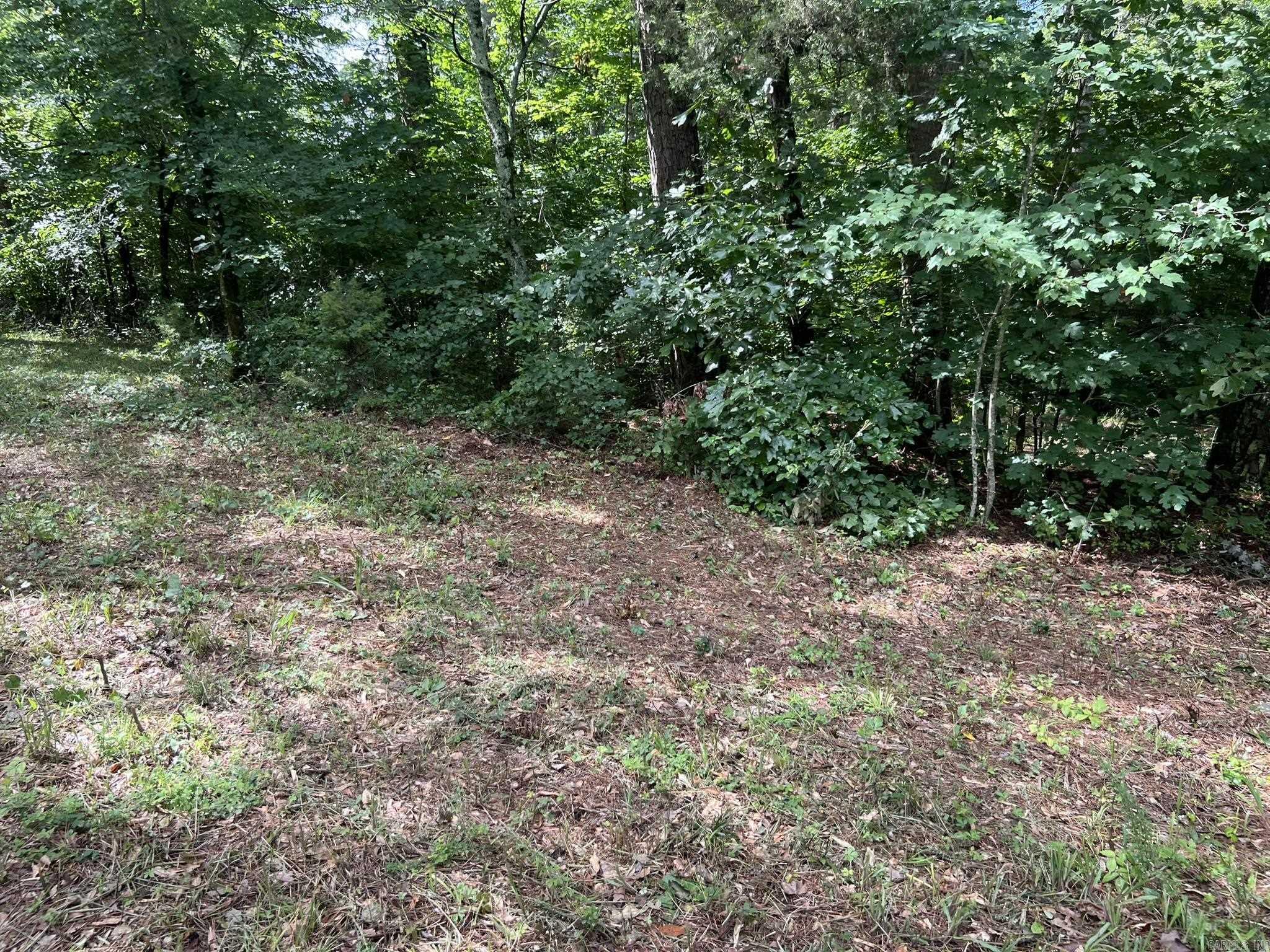 Unk Fs Road 521 Property Photo 12