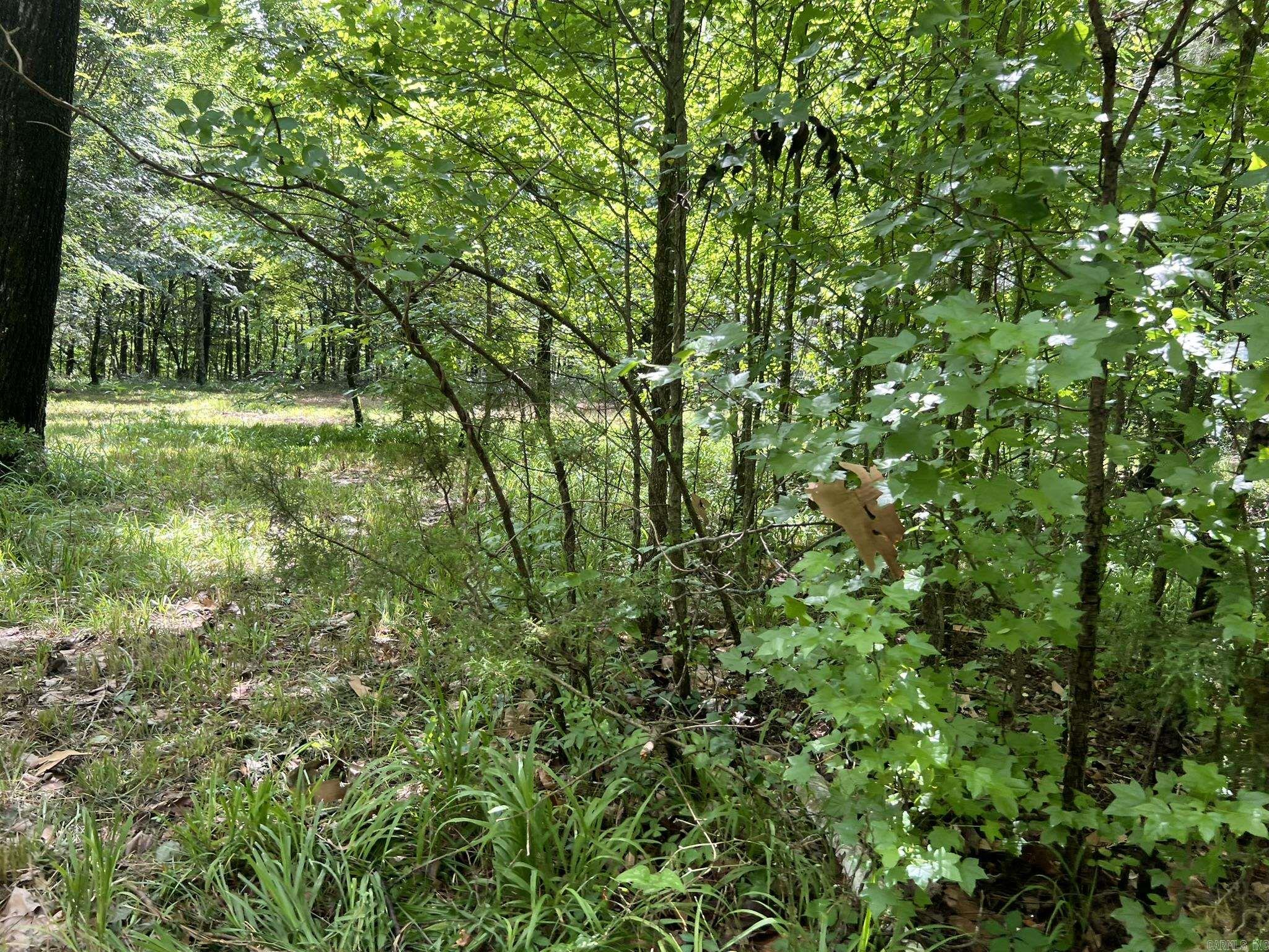 Unk Fs Road 521 Property Photo 13