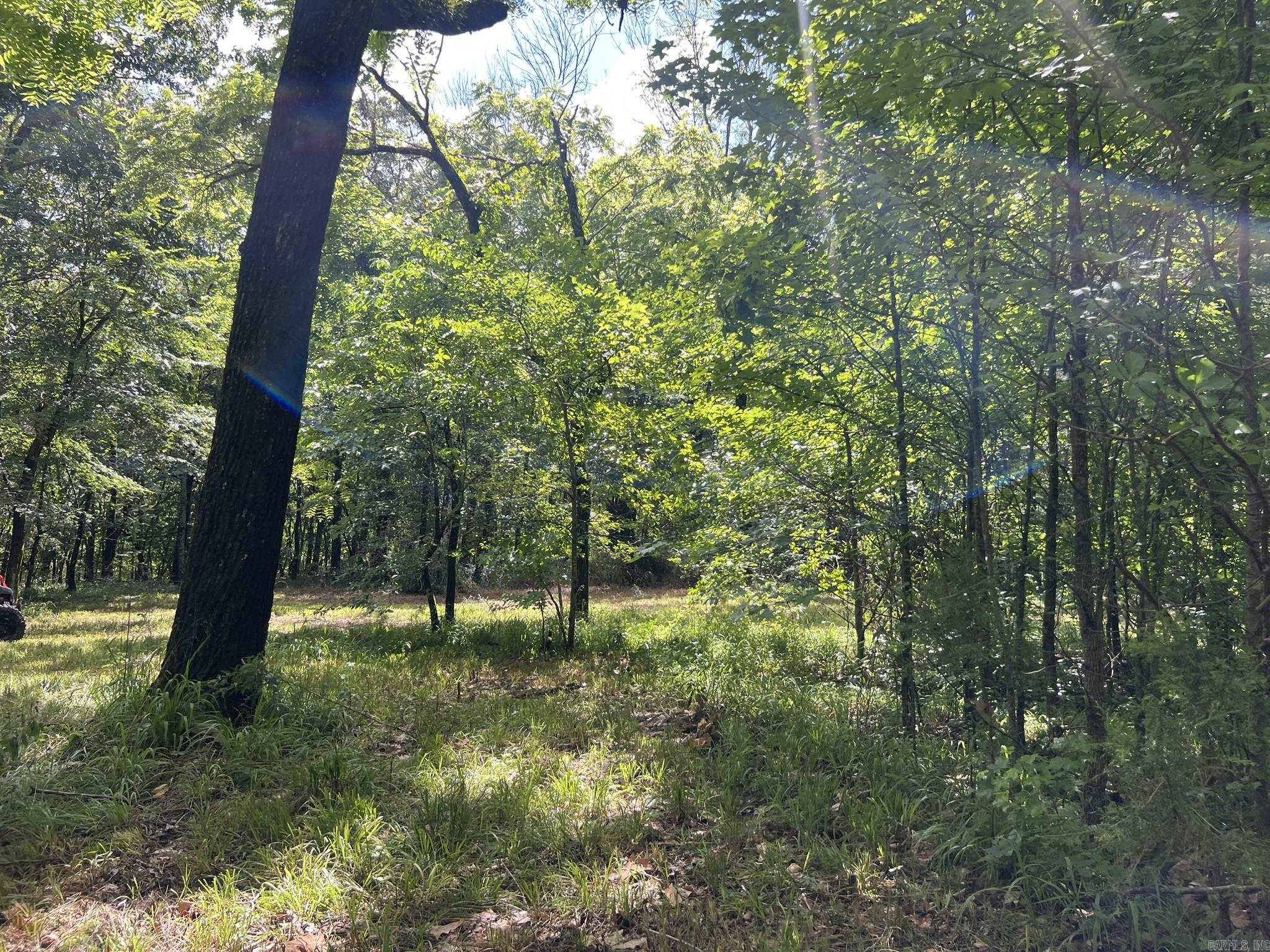 Unk Fs Road 521 Property Photo 14