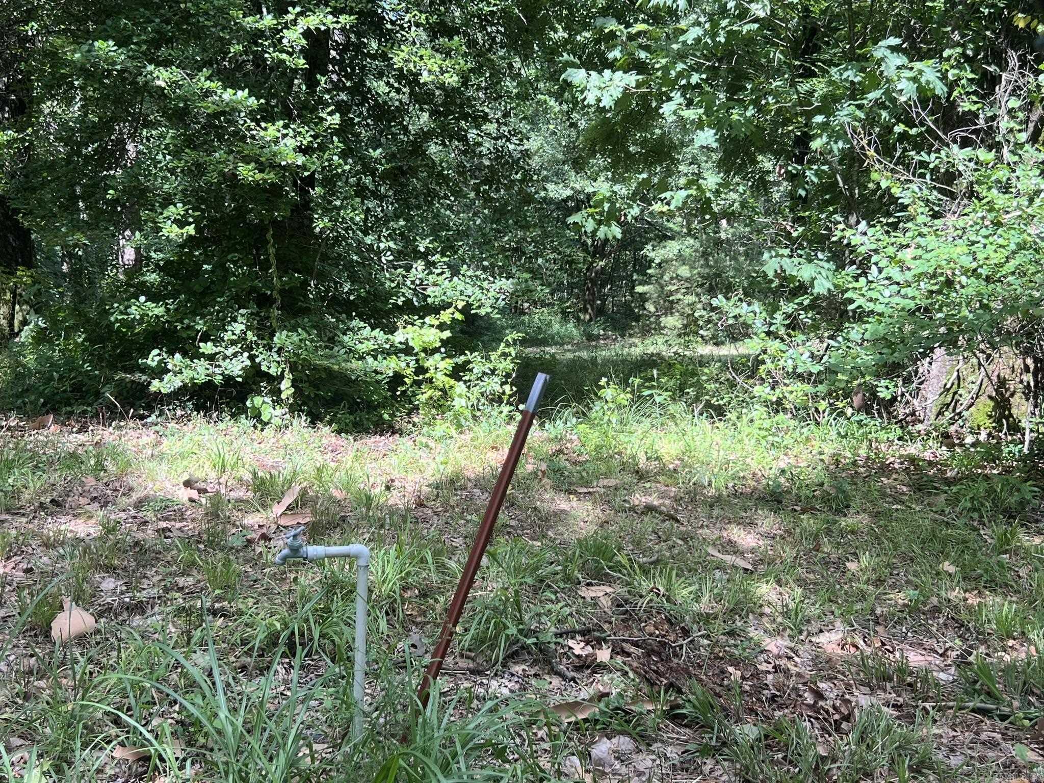Unk Fs Road 521 Property Photo 15