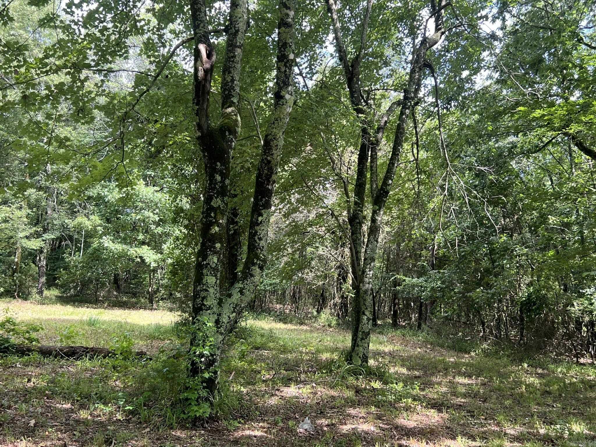 Unk Fs Road 521 Property Photo 16