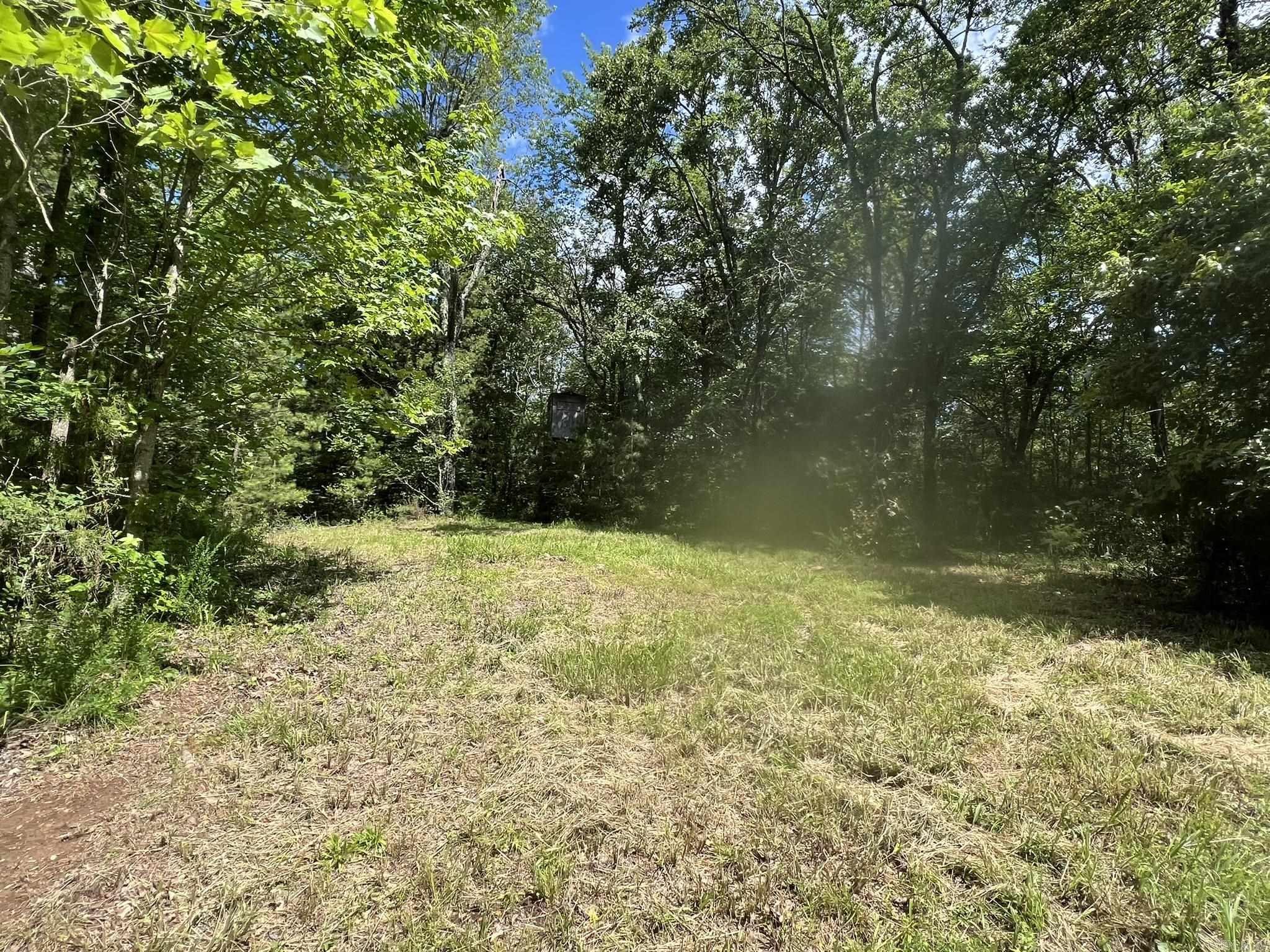 Unk Fs Road 521 Property Photo 17